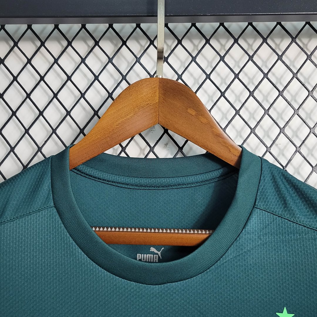 2020/2021 Palmeiras Third Away Football Shirt( Fans Edition )