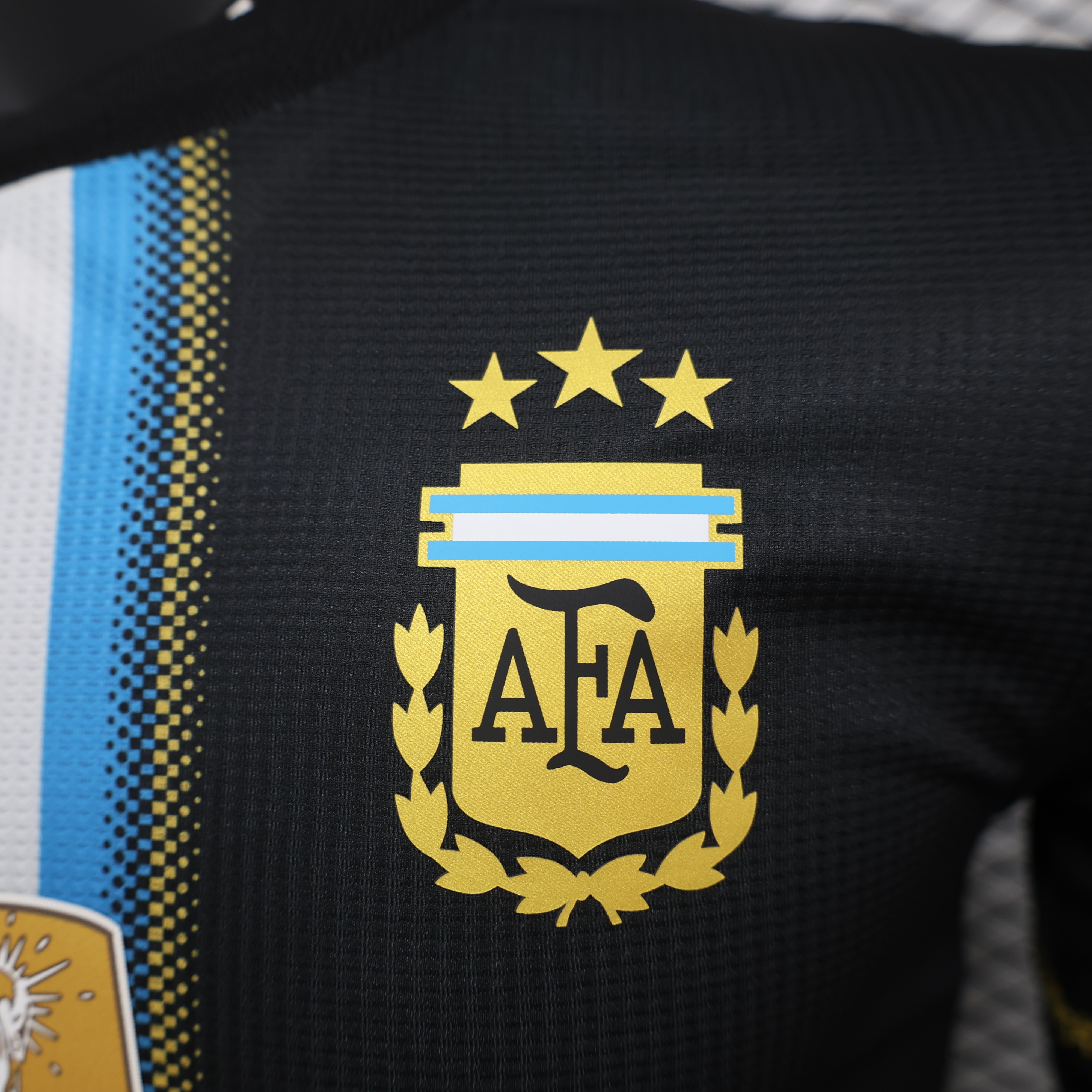 2024/2025 Player Edition Argentina Special Edition Football Jersey