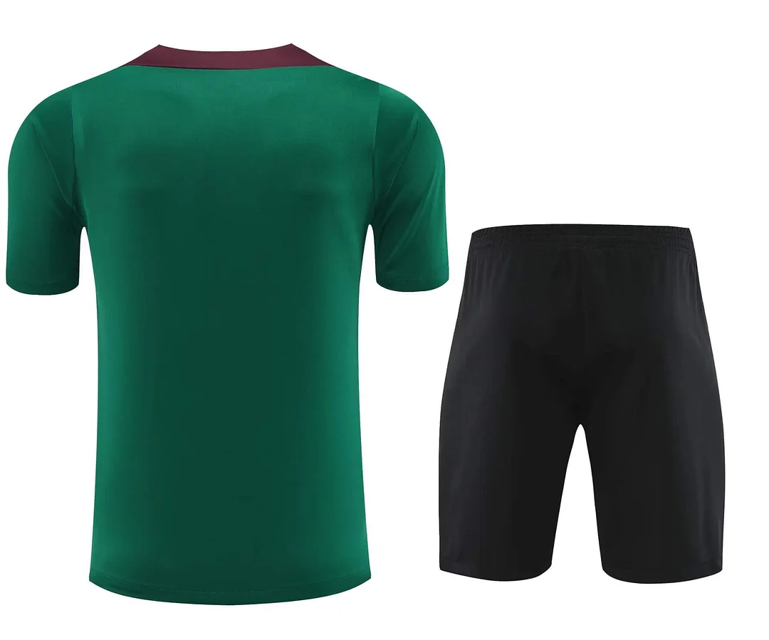 2024/2025 Paris Saint-Germain Training Wear Green Suit Shirt
