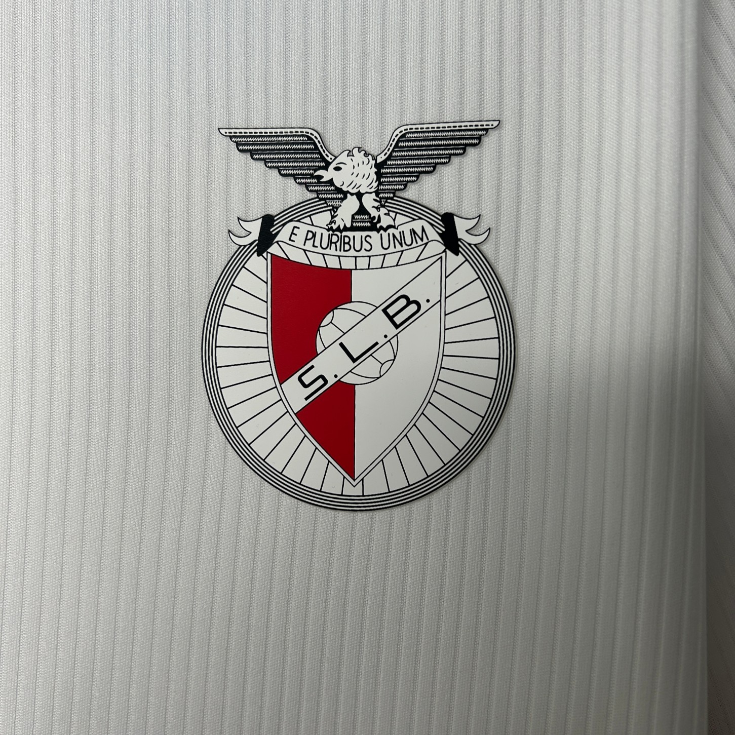 2025/2026 Benfica Special Jersey(Fans Version)