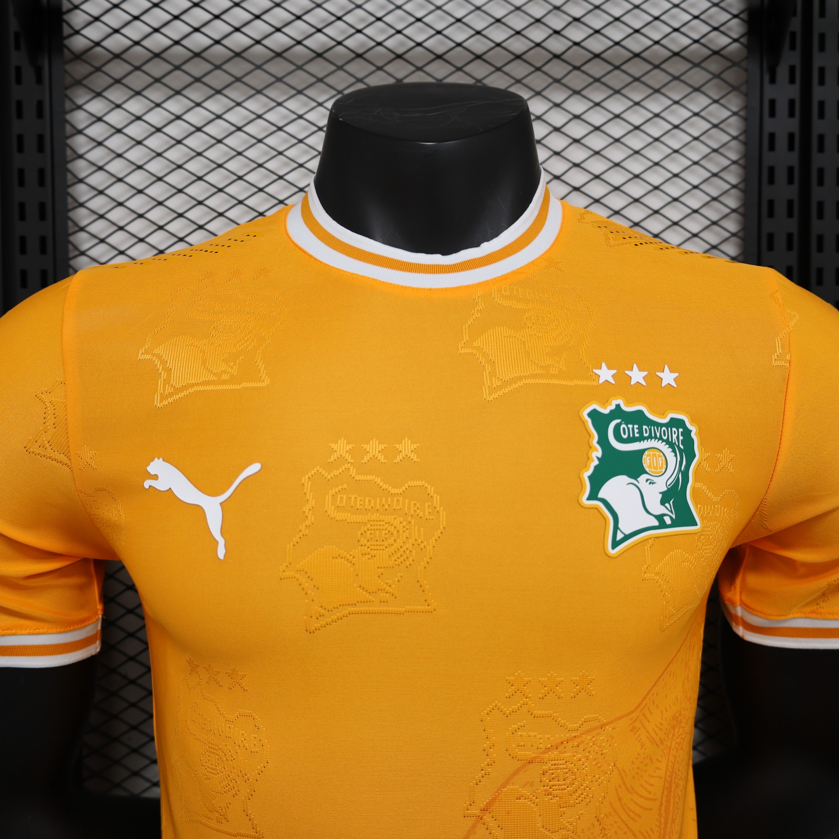 2025/2026 Ivory Coast Special Edition Football Shirt( Player Edition )