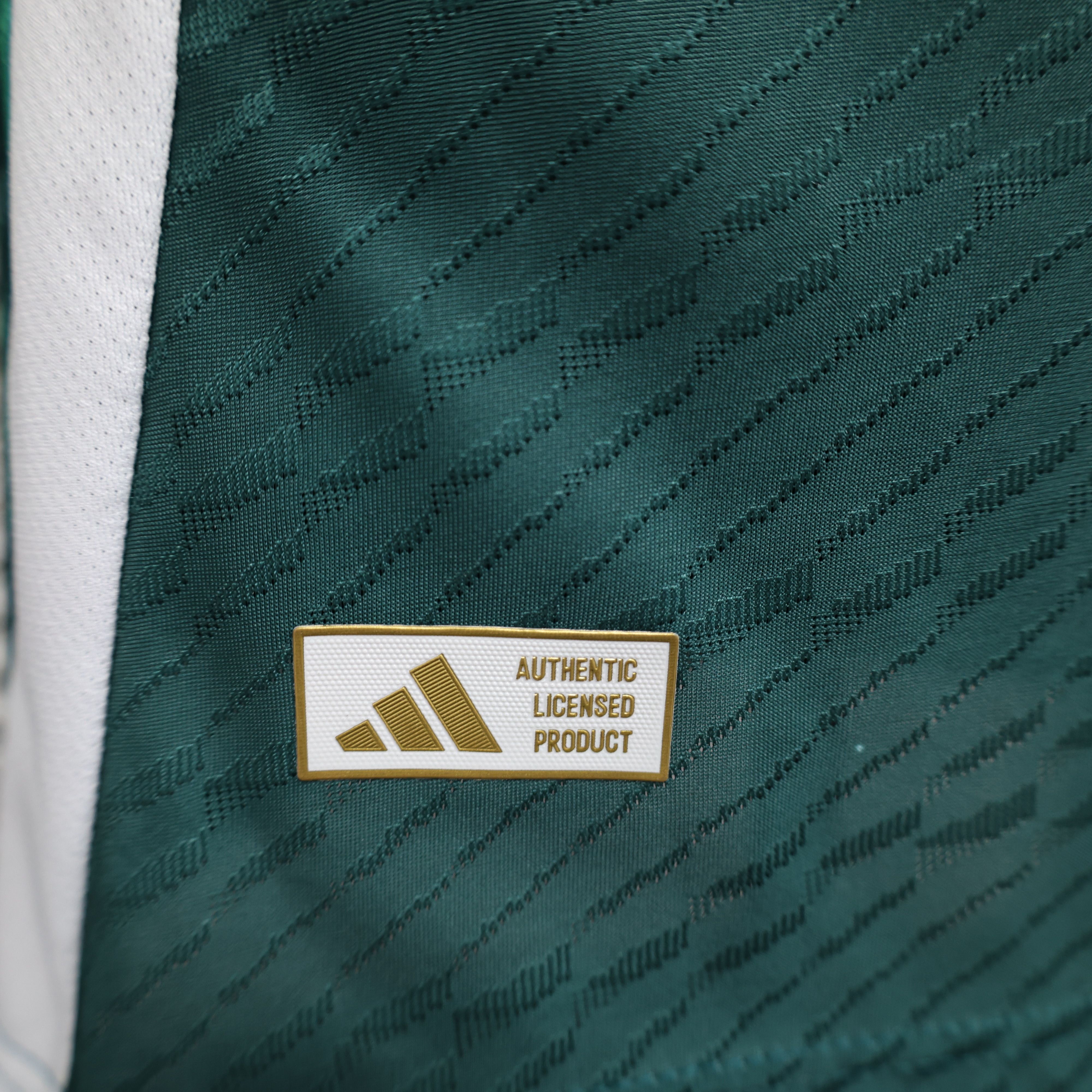 2024/2025 Italy Special Edition Football Jersey( Player Edition )