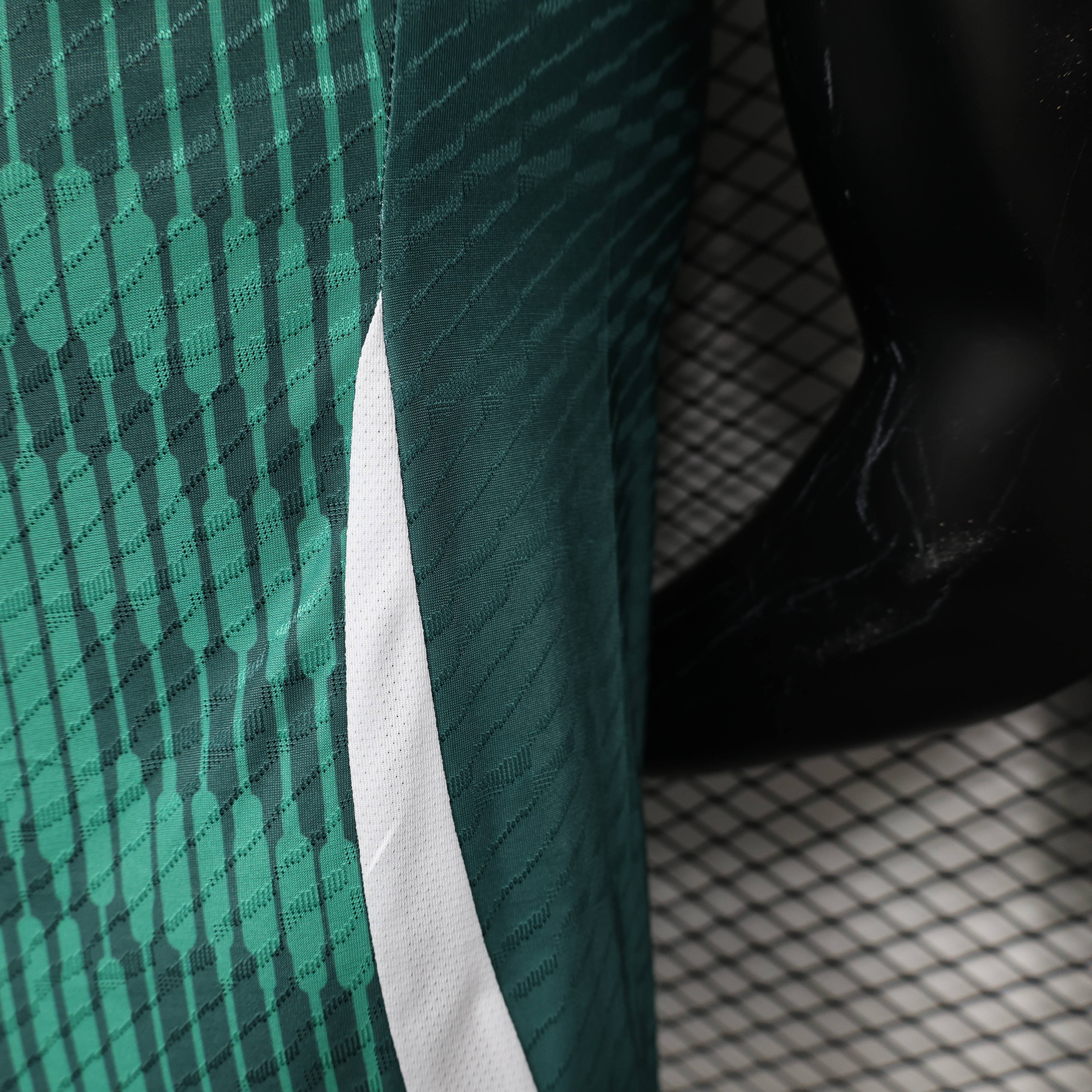 2024/2025 Italy Special Edition Football Jersey( Player Edition )