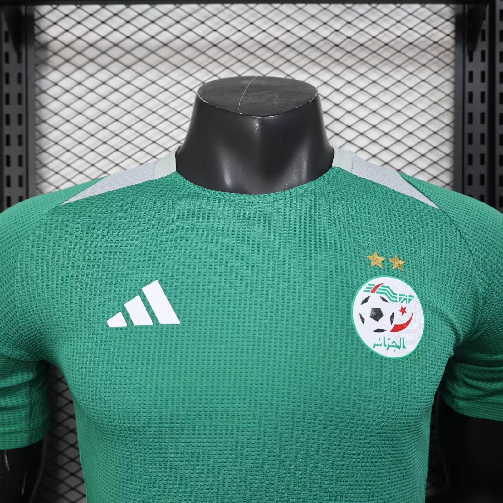 2025/2026 Algeria Green Football Jersey( Player Edition)