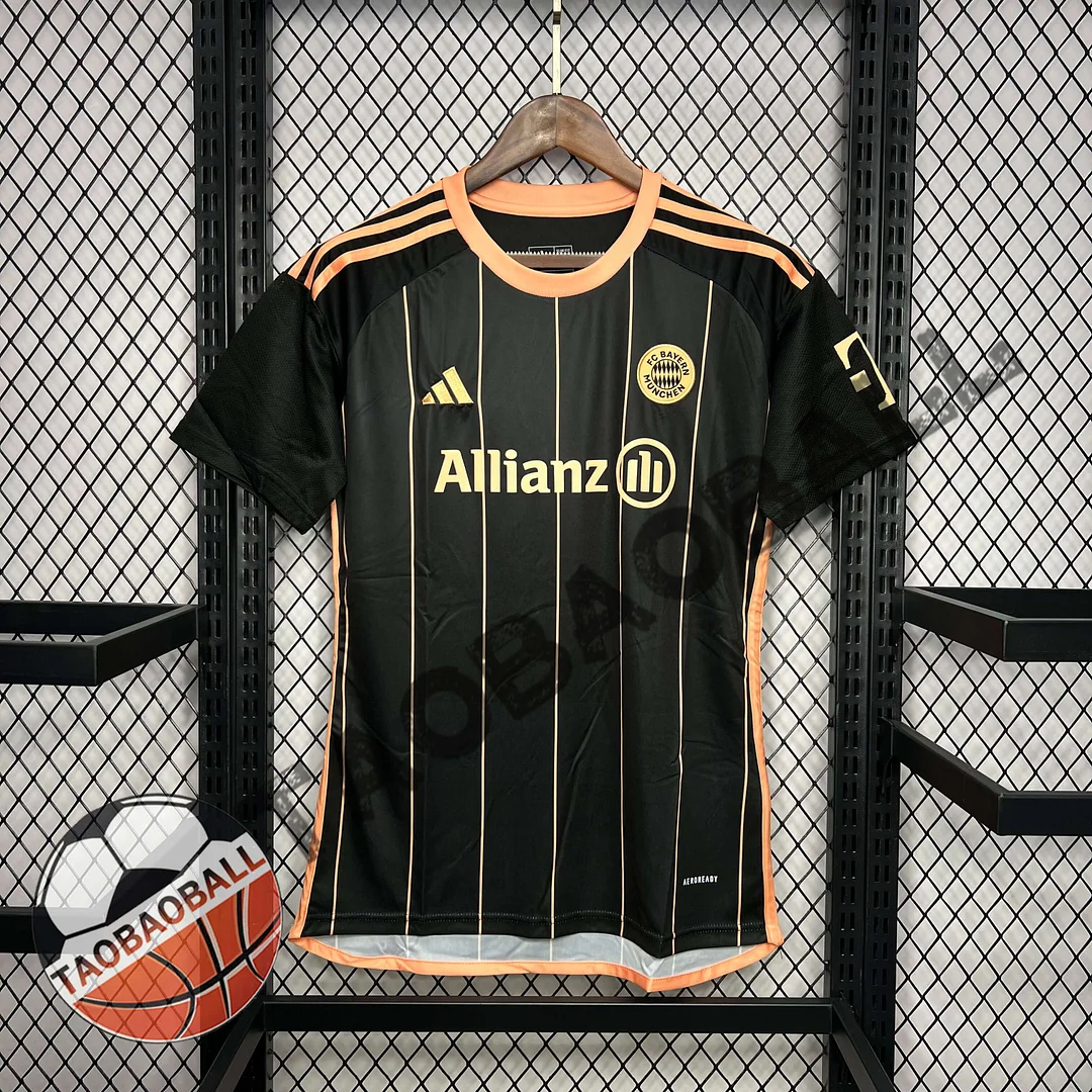 2024/2025 Bayern Munchen Special Shirt(Fans version)