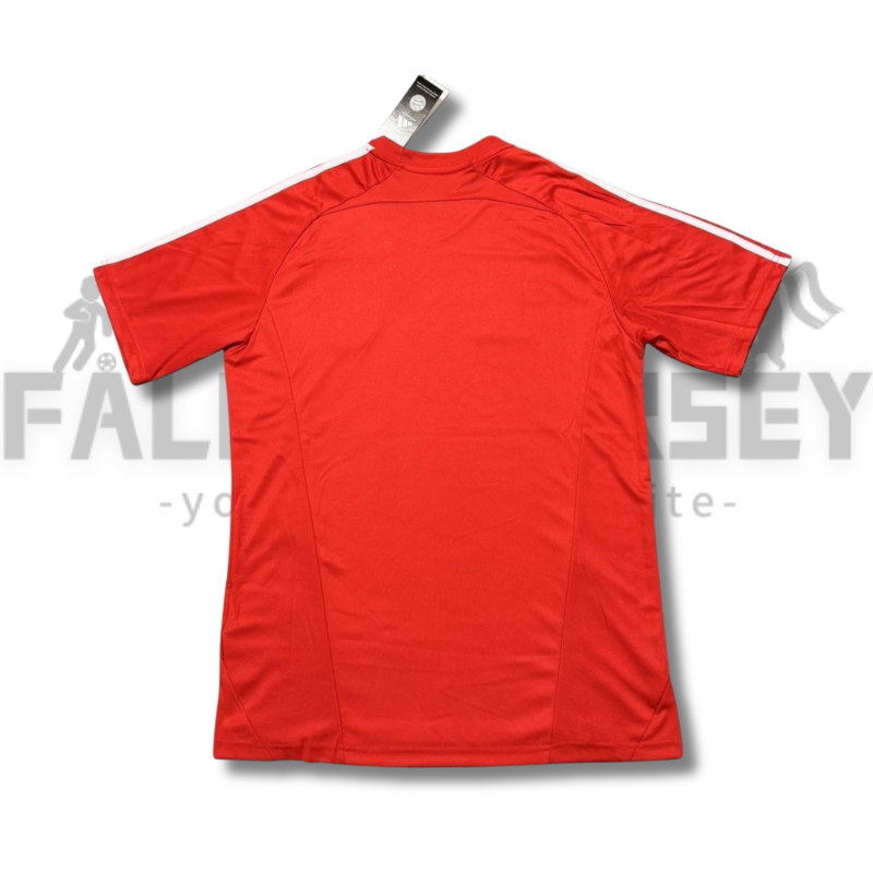 2025/2026 Bayern Munchen Red Special Jersey(Fans Version)
