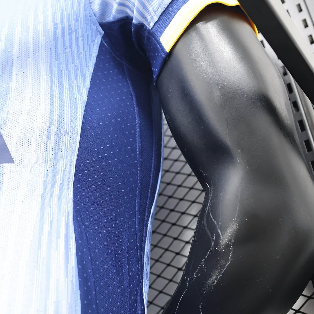 2024/2025 Tottenham Hotspur Away Football Shirt(Player Version )