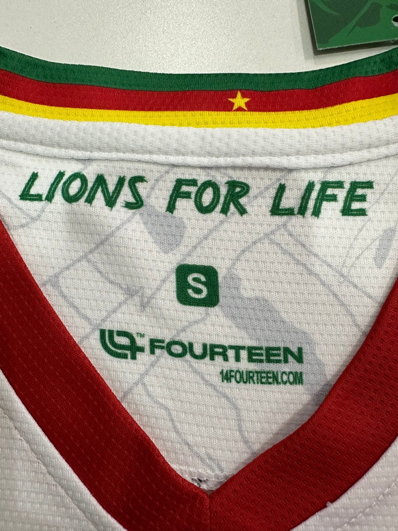2025/2026 Cameroon 2th Away Football Shirt( Fans Edition )