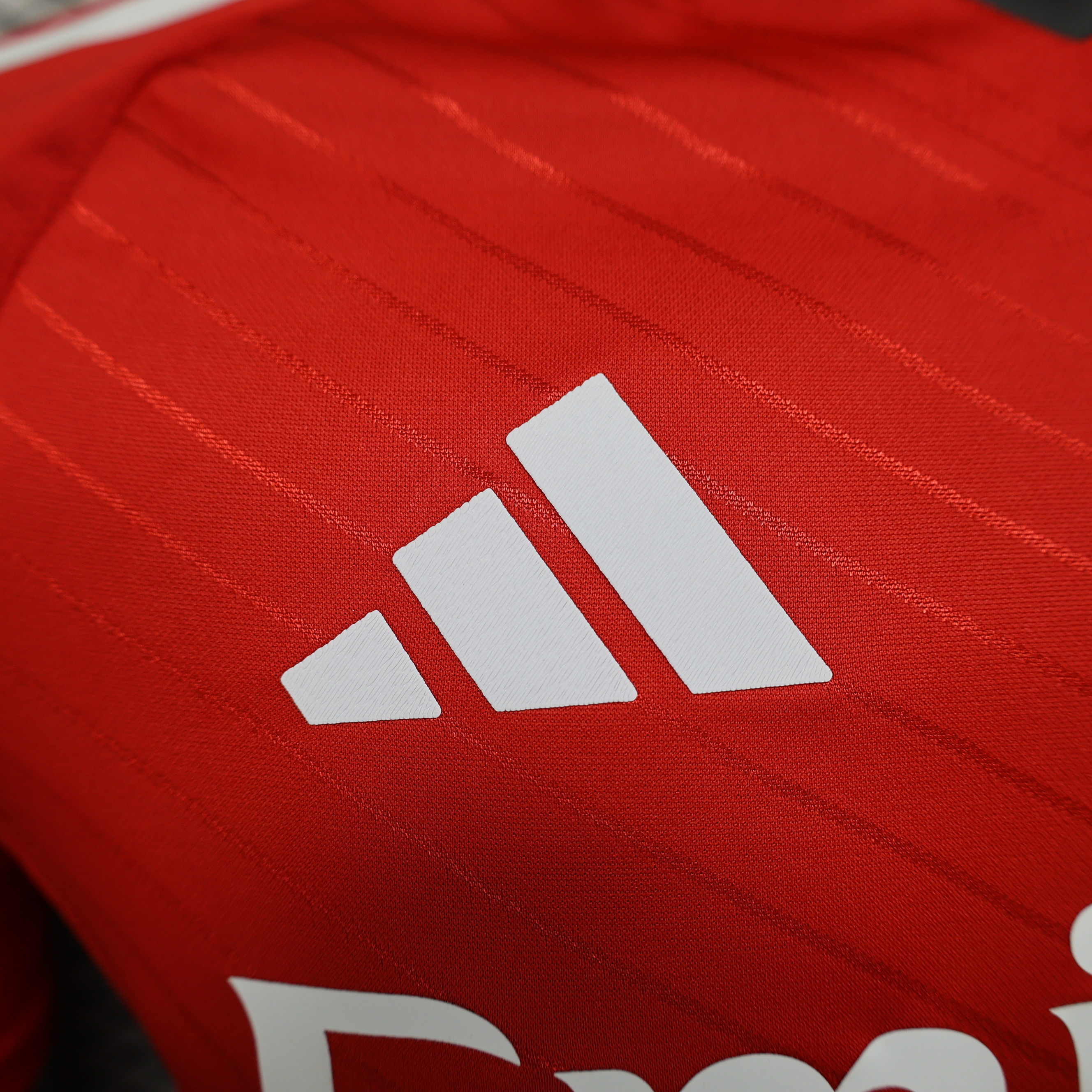 2024/2025 Benfica Away Jersey(Player Version)
