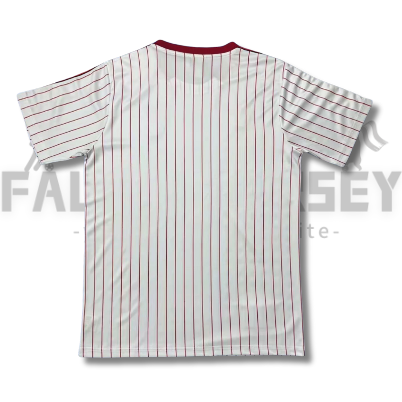 2025/2026 Benfica Special Jersey(Fans Version)