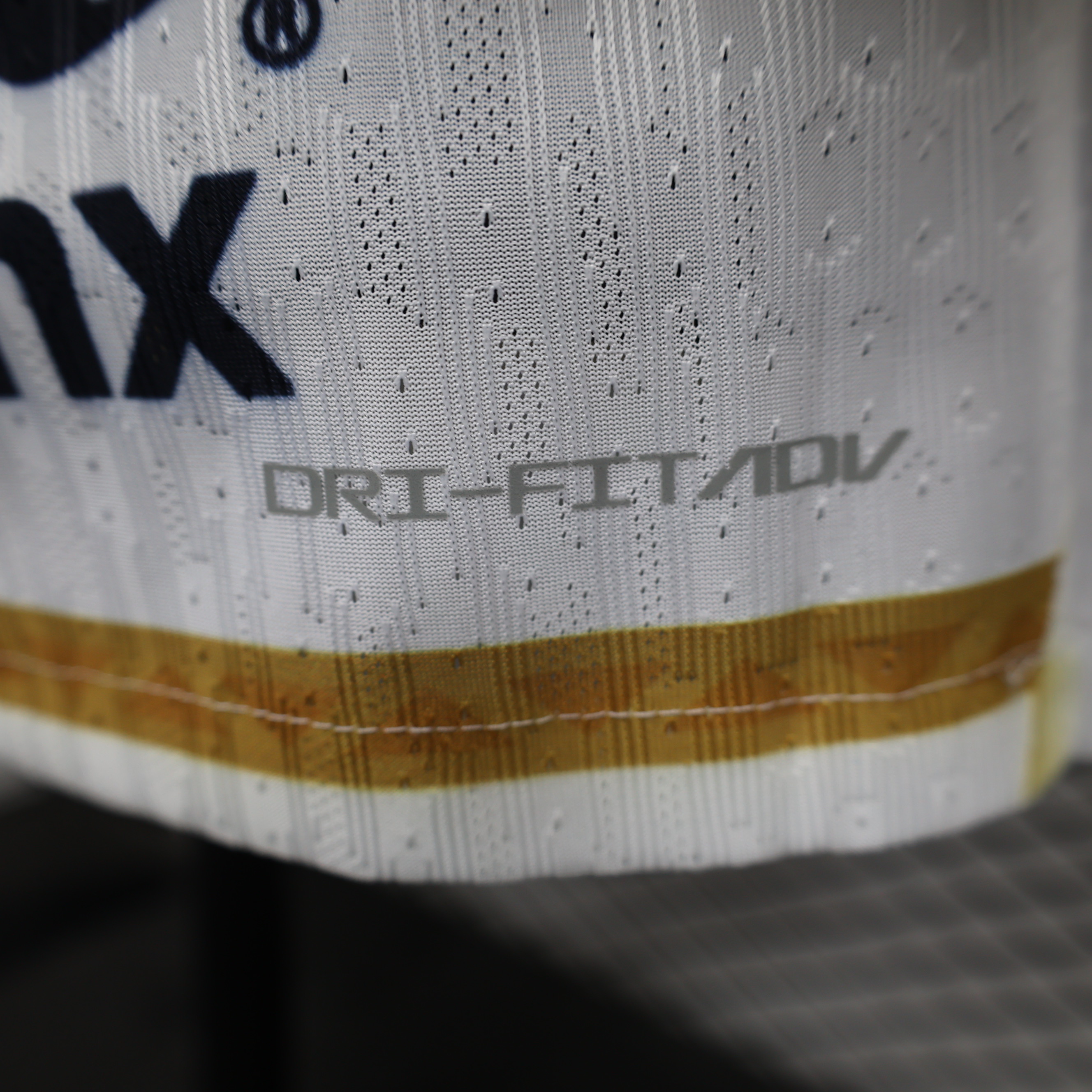 2024/2025 Pumas UNAM Home Edition(Player Version)
