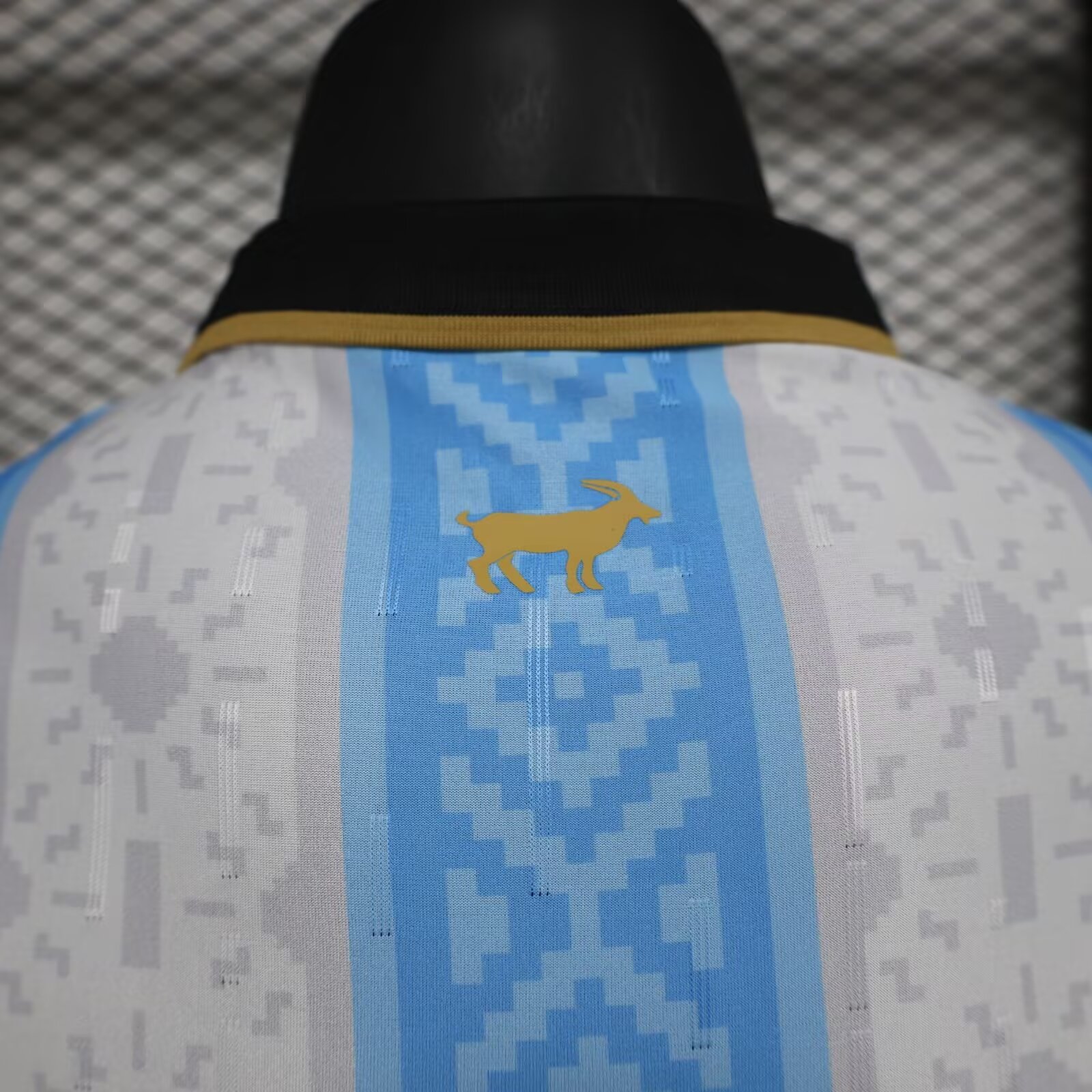 2024/2025 Argentina Special Edition Football Jersey