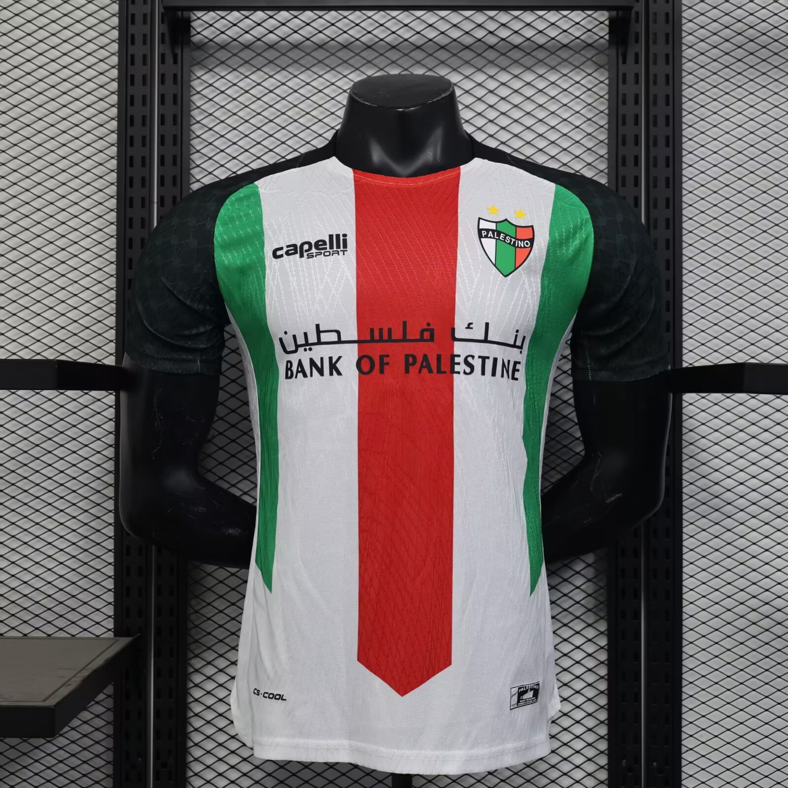 2025/2026 Palestine Home Player Edition Football Shirt( Player Edition )