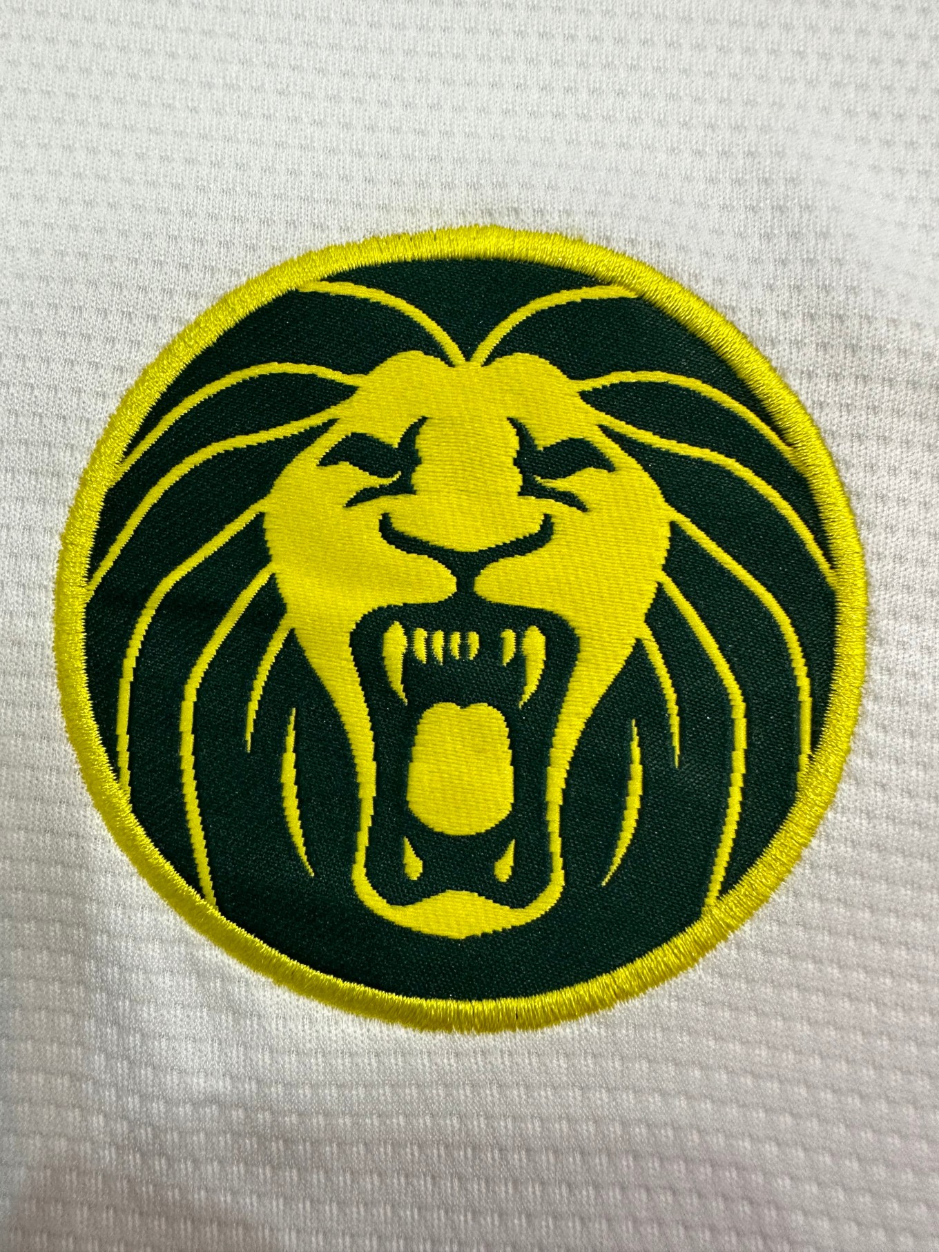 2025/2026 Cameroon 2th Away Football Shirt( Fans Edition )
