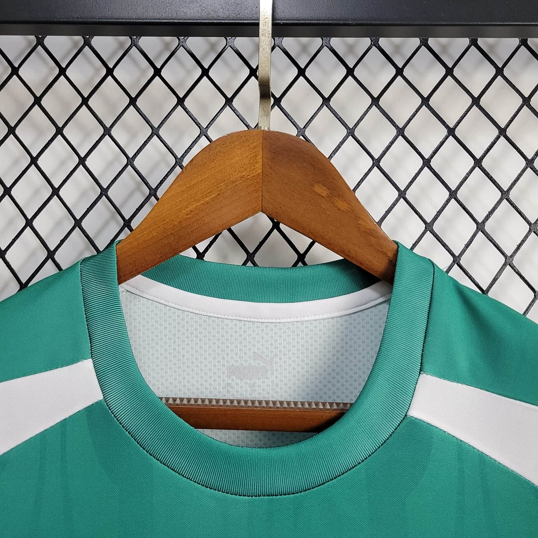 2024/2025 Palmeiras Training Wear Football Shirt( Fans Edition )