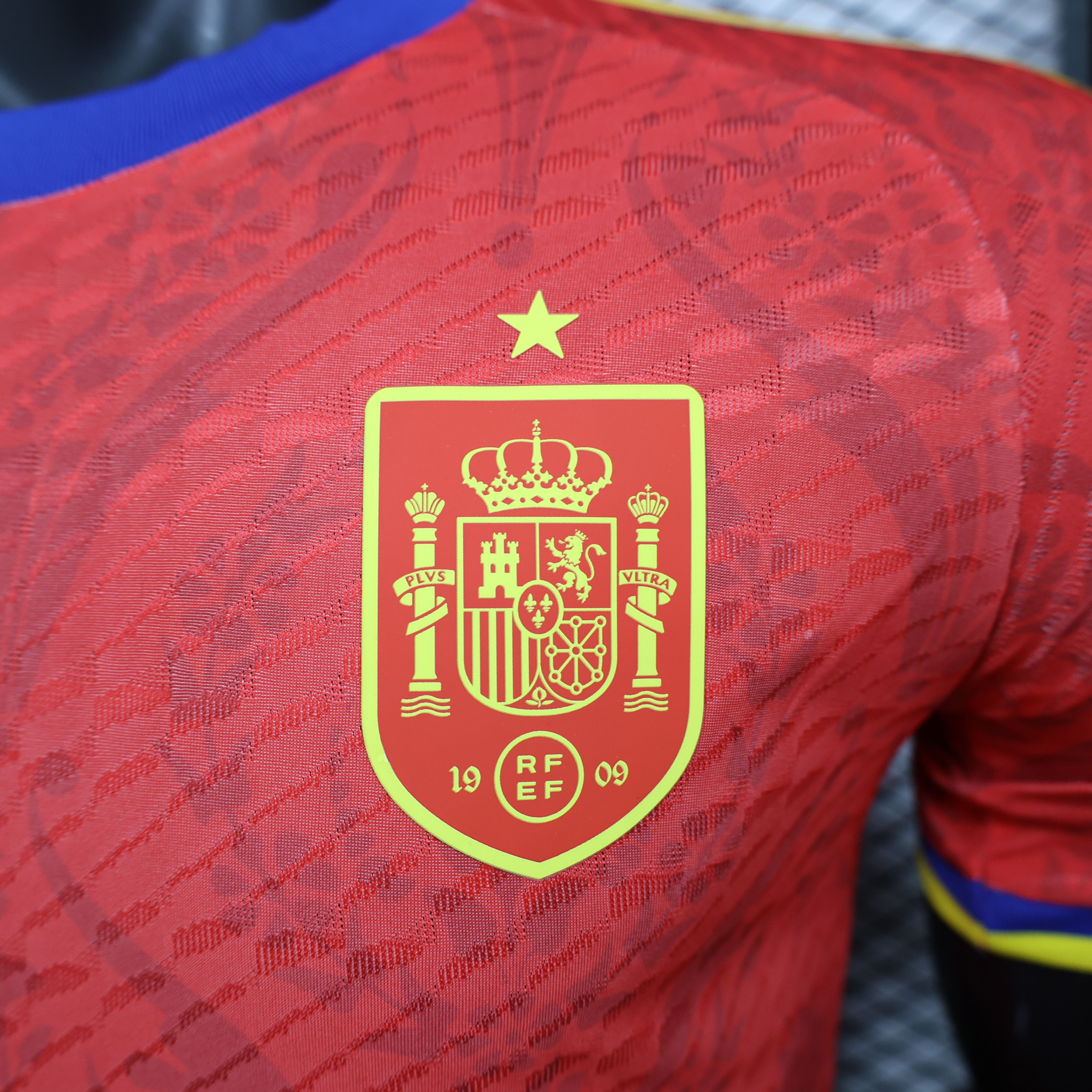 2024/2025 Spain Special Edition Football Jersey(Players Edition )