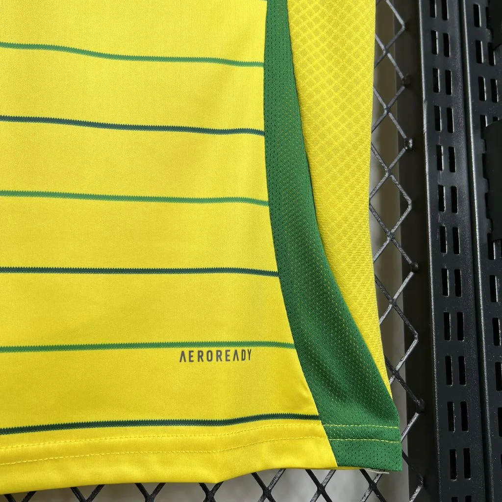 2024/2025 Celtic Away Football Shirt( Fans Edition )