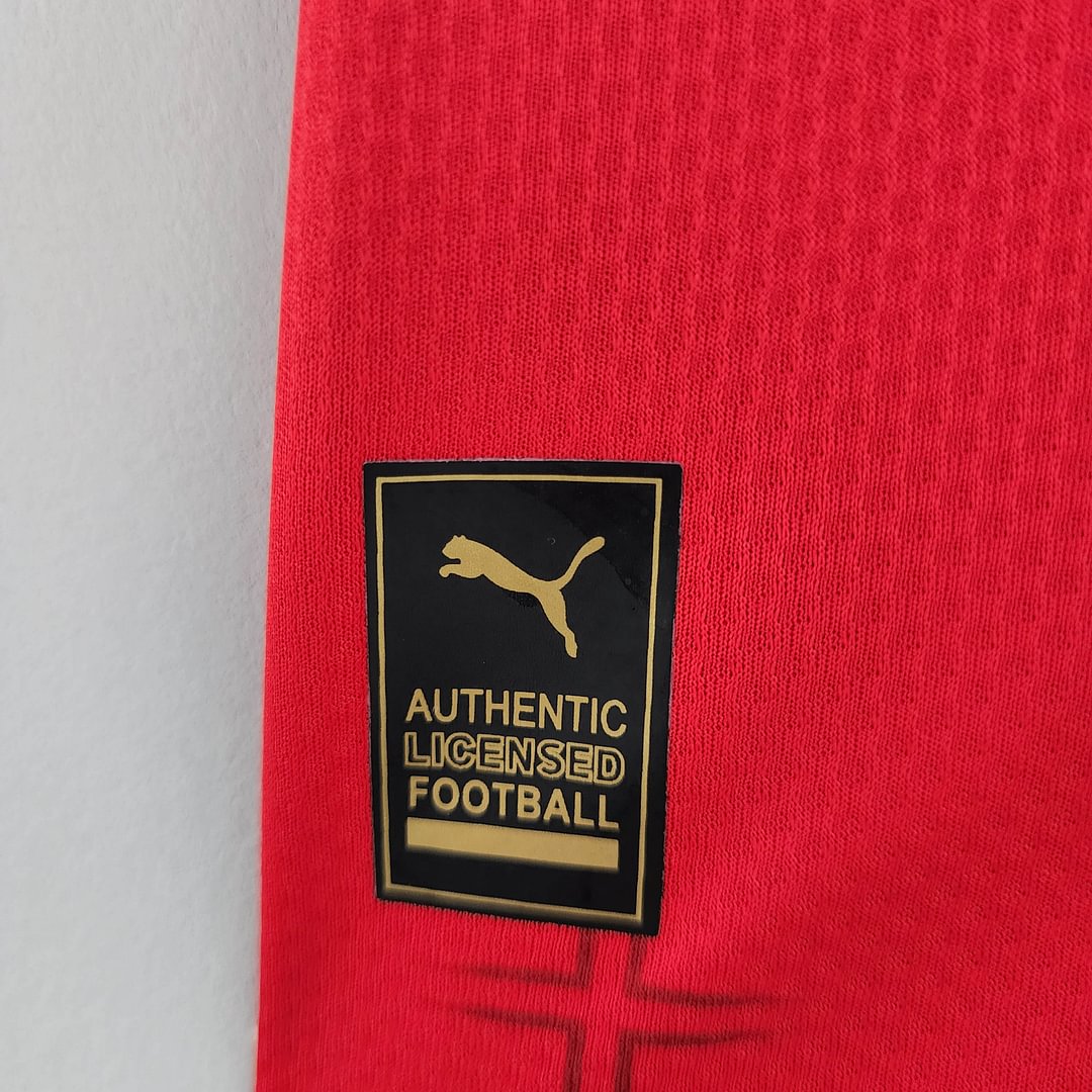 2022 Serbia Home Football Shirt(Fan version)
