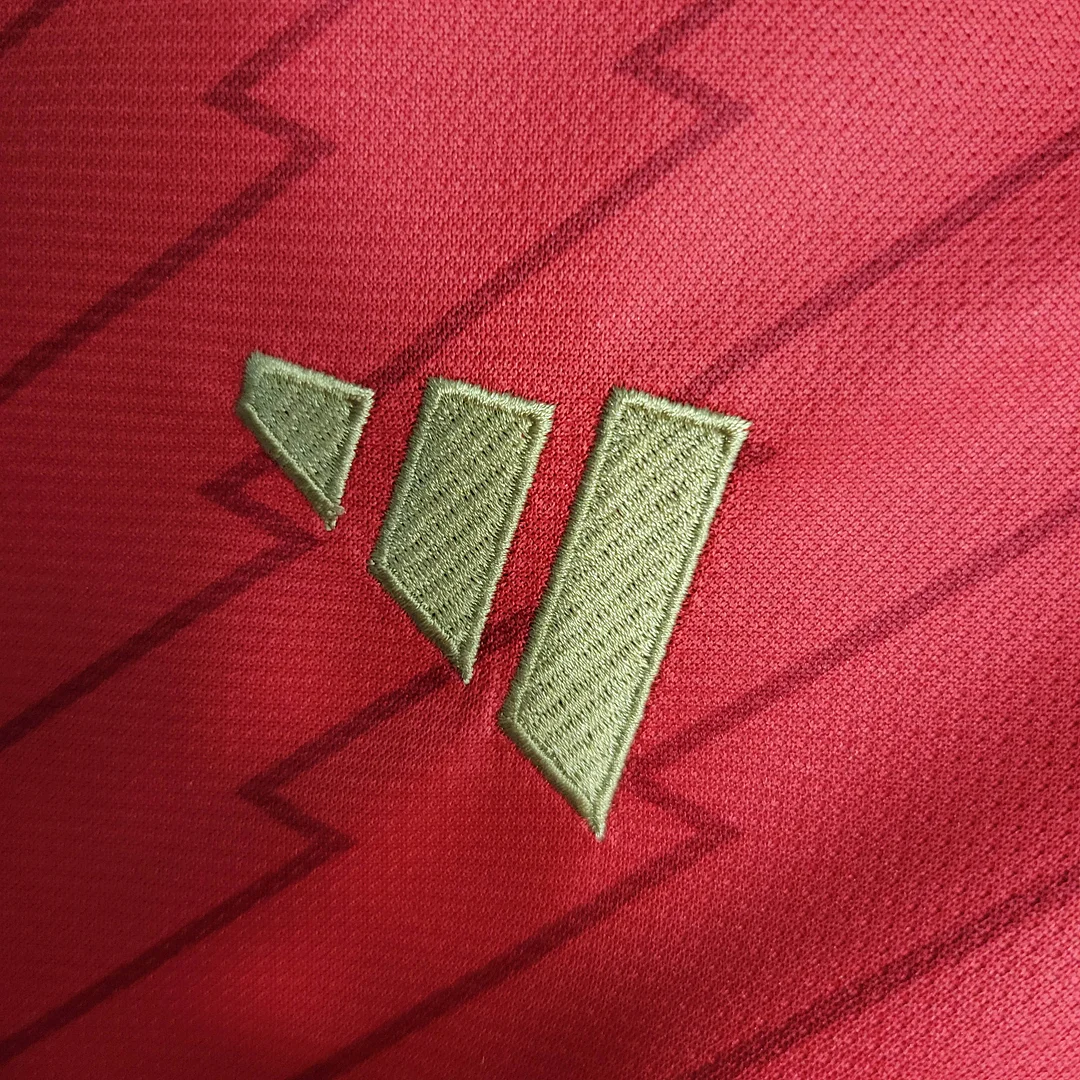 2023/2024 Player Version Arsenal Home Football Shirt