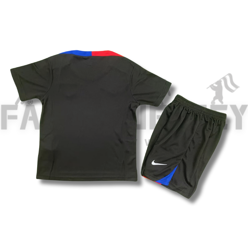 2024/2025 Barcelona Training Football Shirt(For Kids)