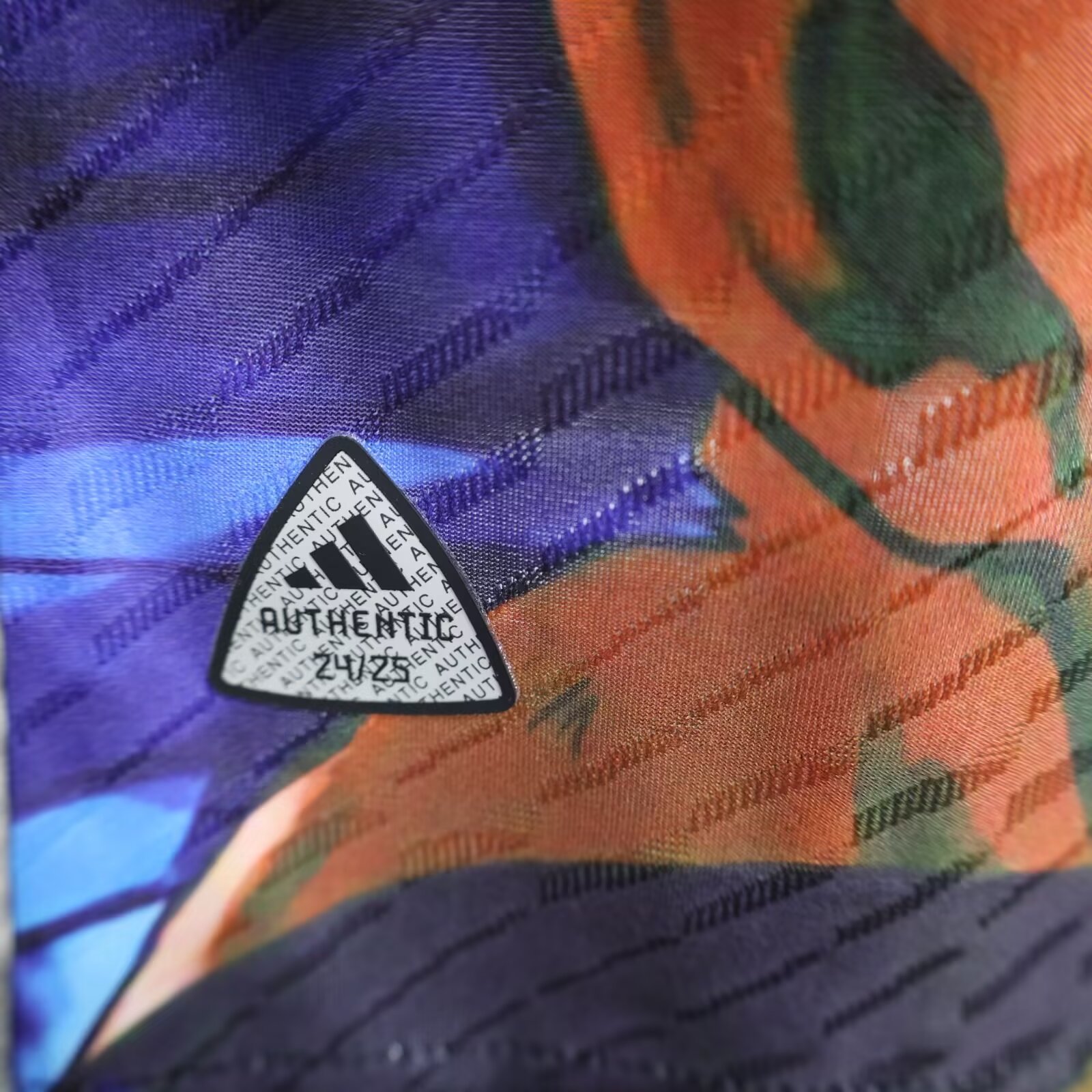 2024/2025 Players Edition Japan Special Edition Football Jersey