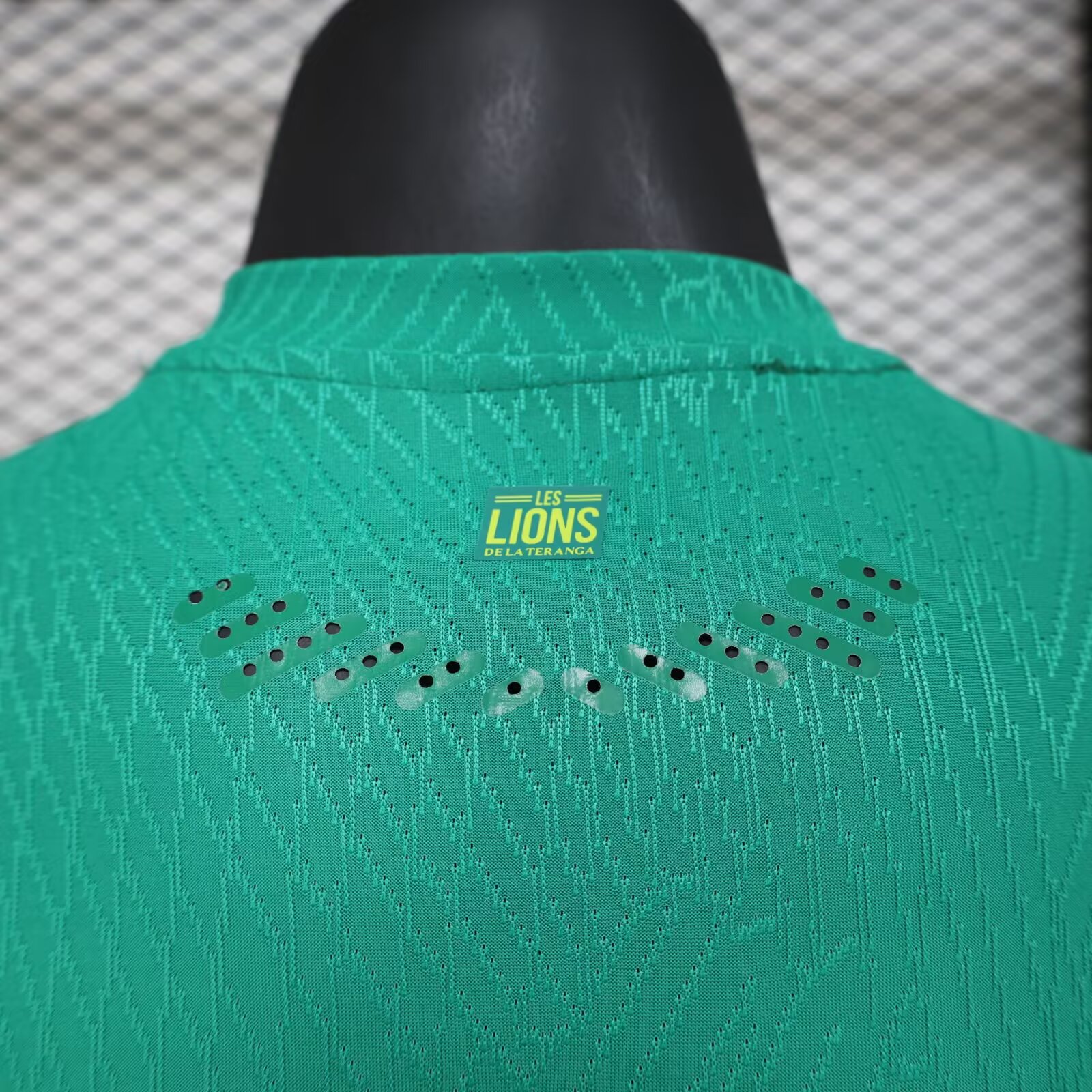 2024/2025 Senegal Home Football Shirt( Player Edition )