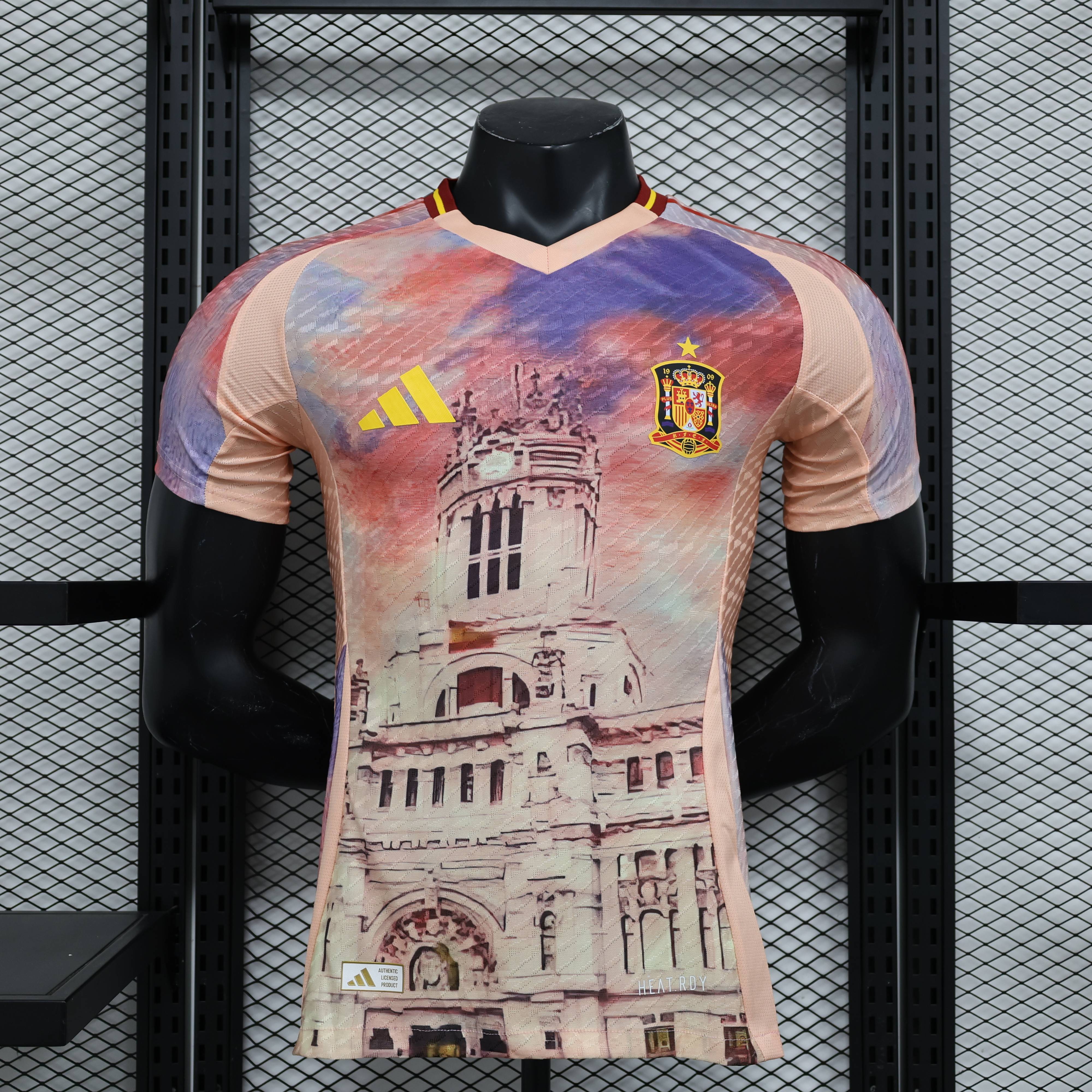 2024/2025 Spain Special Edition Football Jersey( Players Edition )