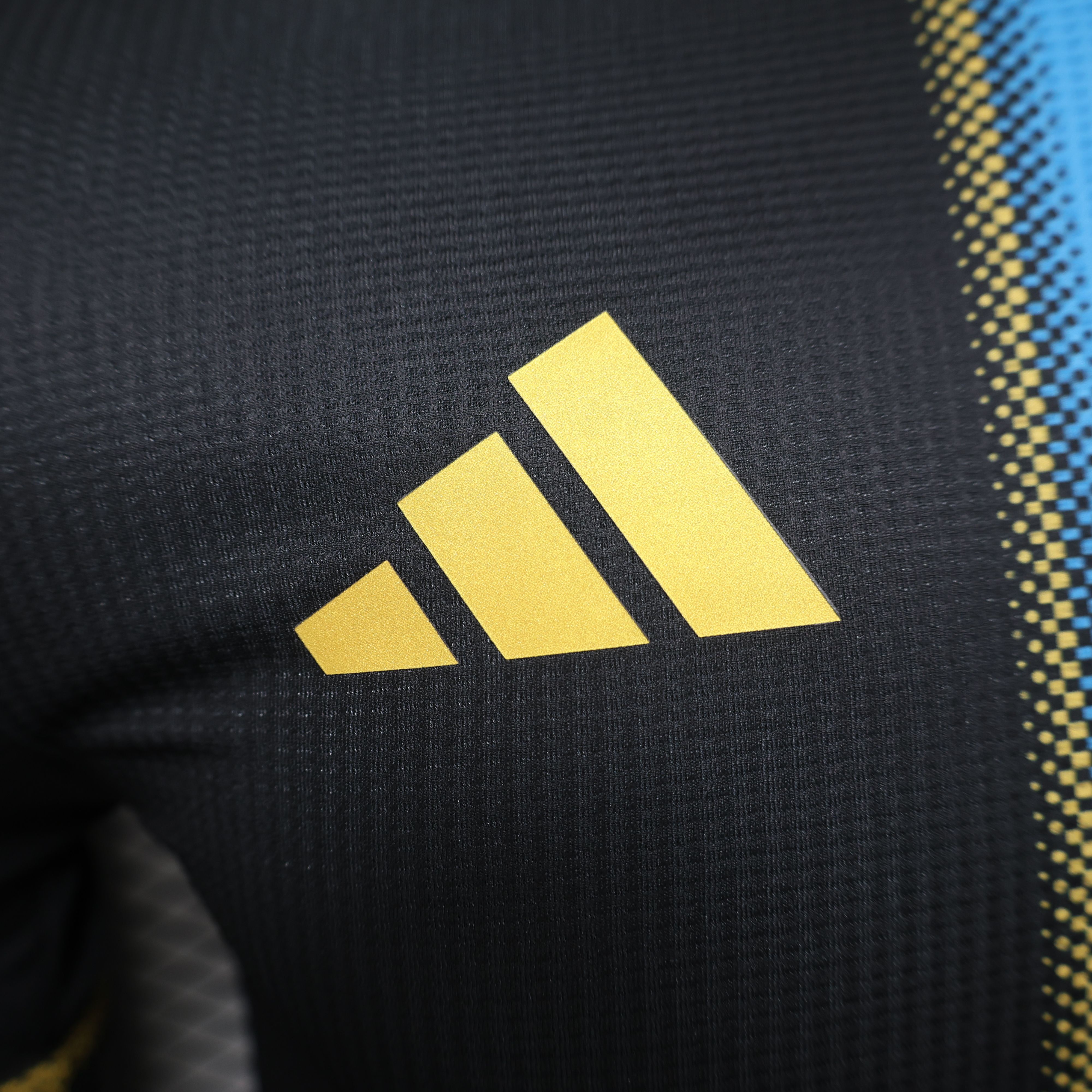 2024/2025 Player Edition Argentina Special Edition Football Jersey