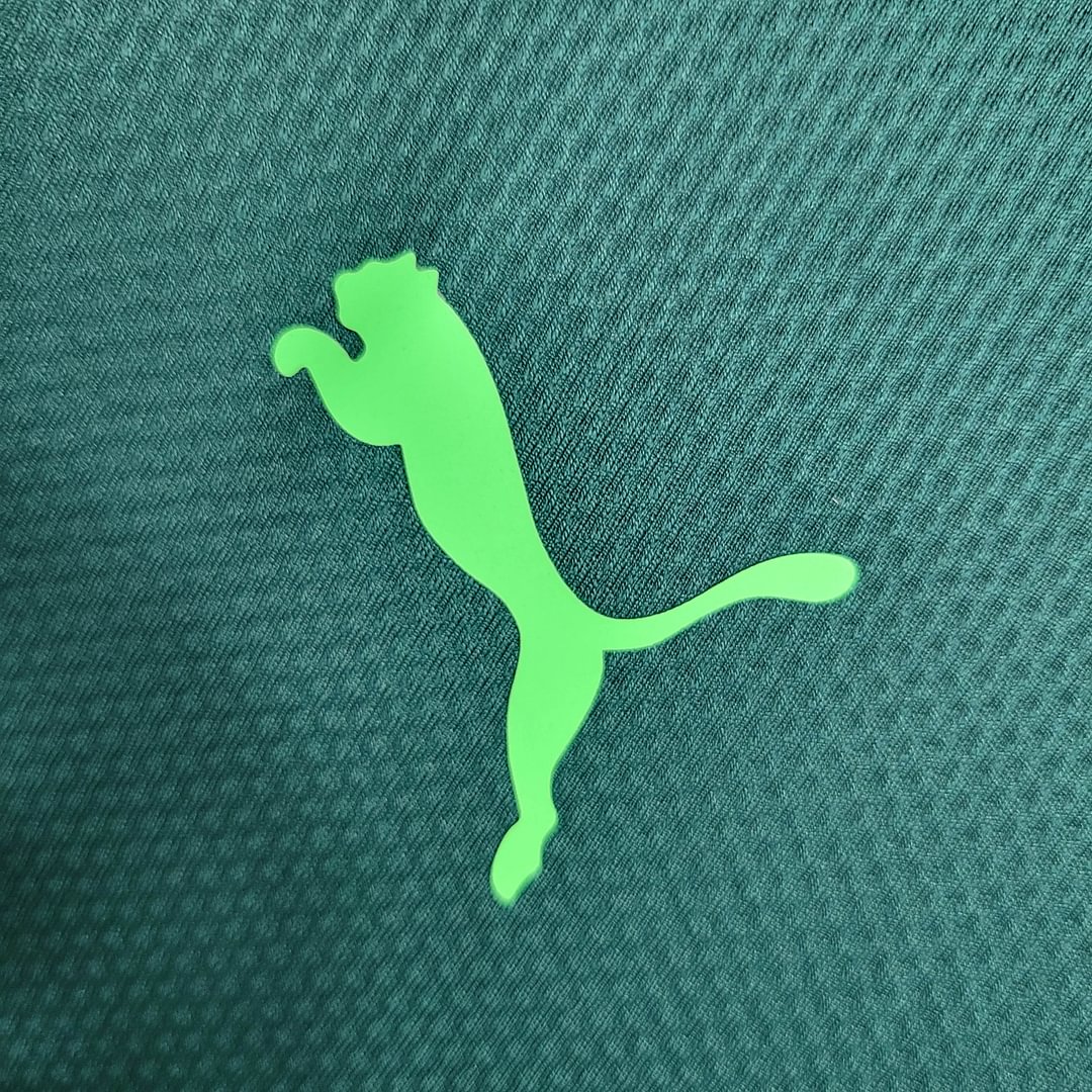 2020/2021 Palmeiras Third Away Football Shirt( Fans Edition )