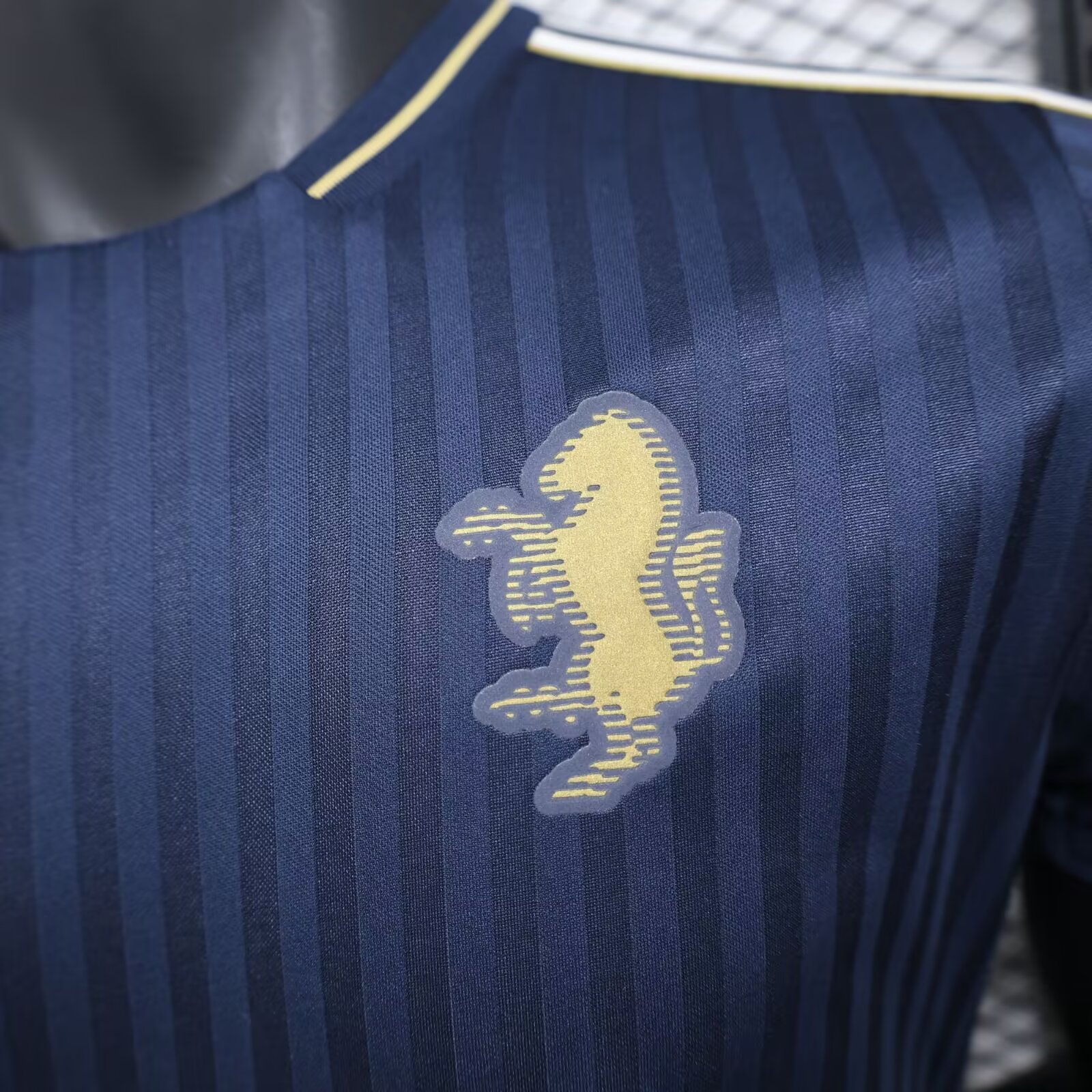 2024-2025 Juventus Special Edition Football Jersey