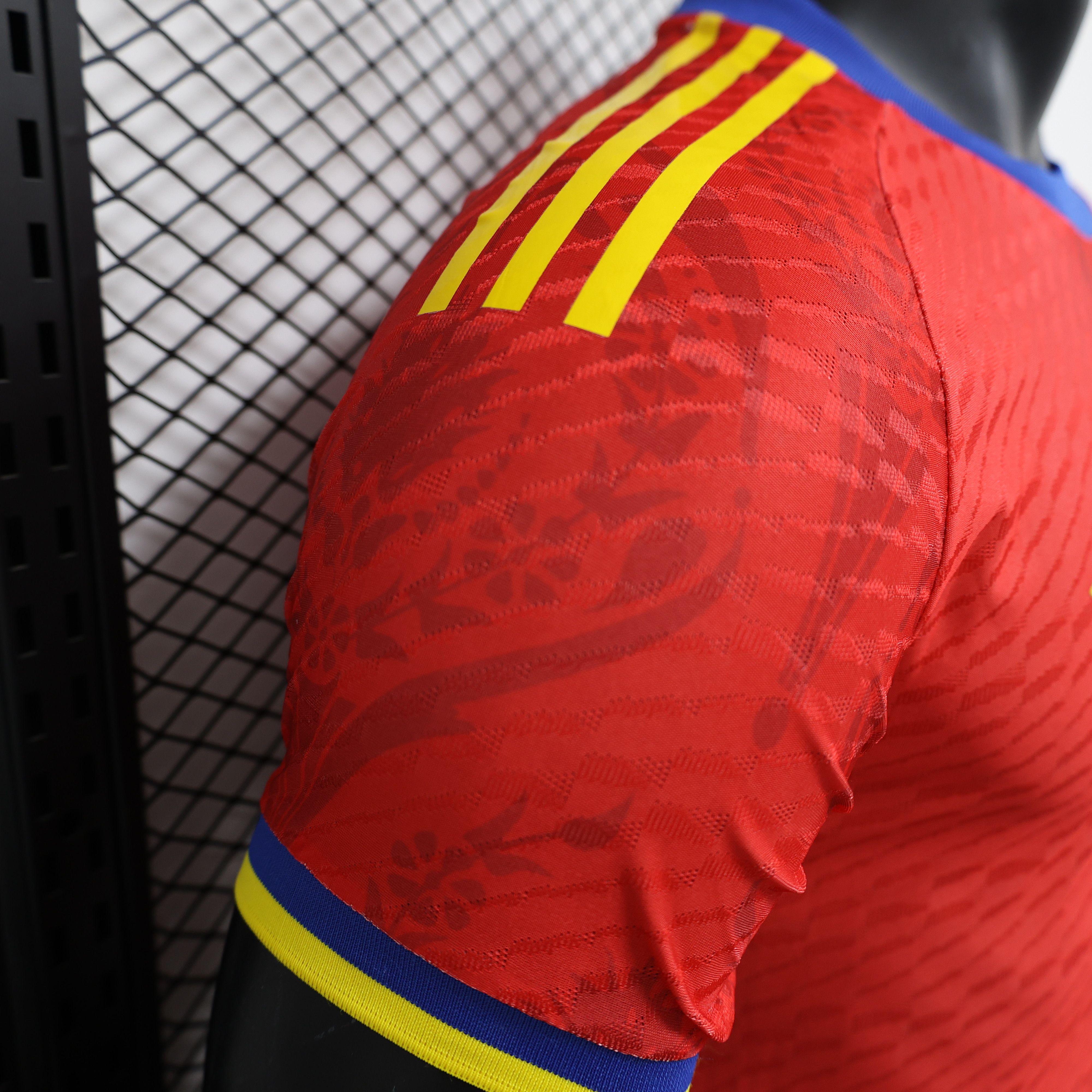 2024/2025 Spain Special Edition Football Jersey(Players Edition )