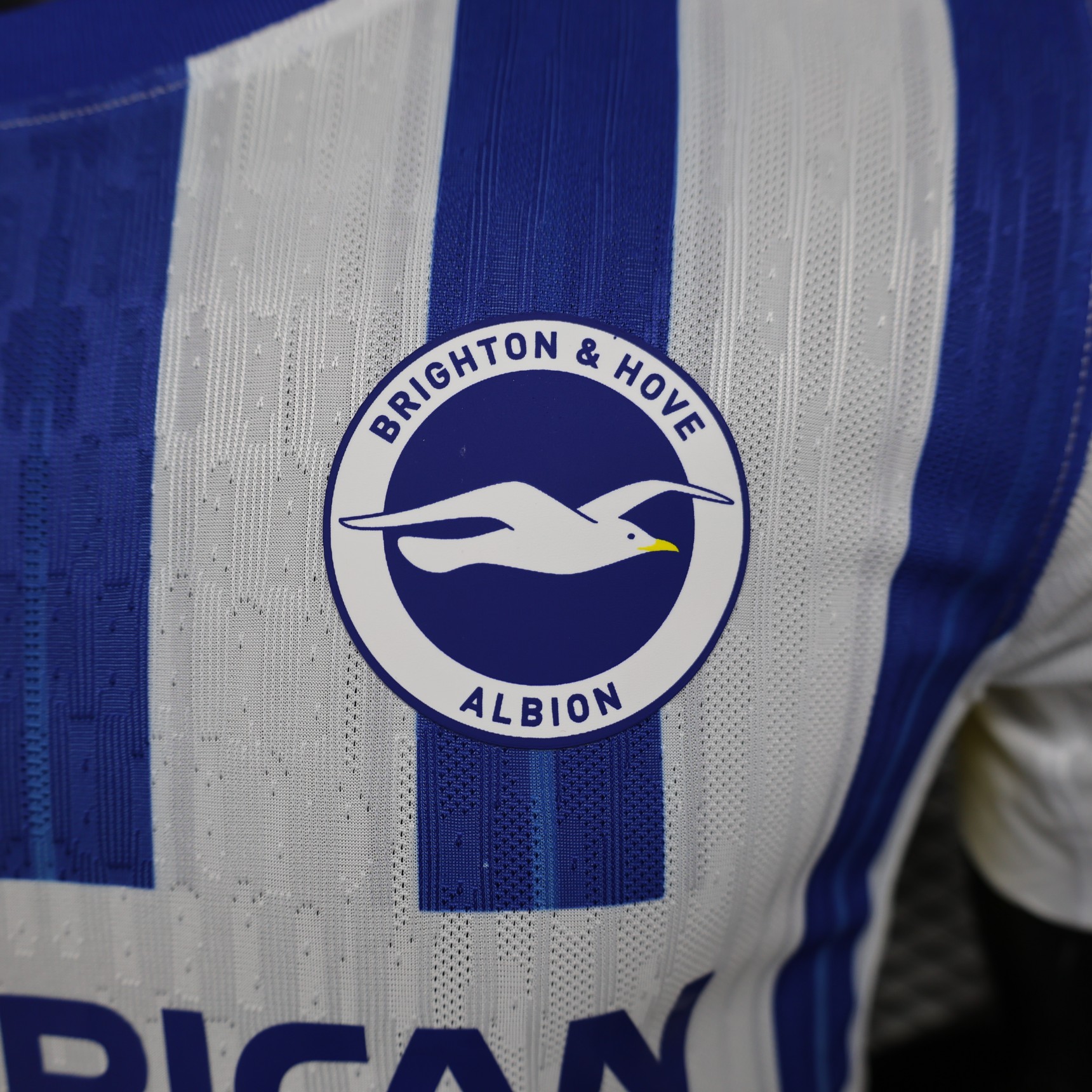 2024/2025 Brighton Home Football Shirt(Player Version )