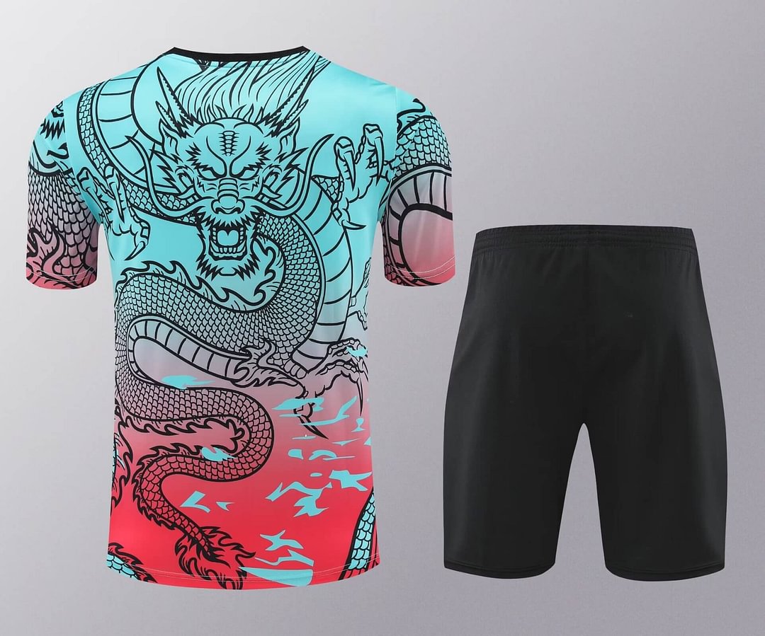 2024/2025 Real Madrid Training Wear Suit Shirt
