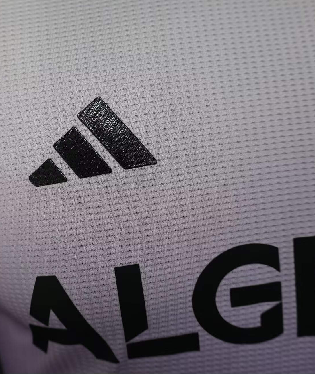 2025/2026 Algeria Purple Jersey(Player Edition)