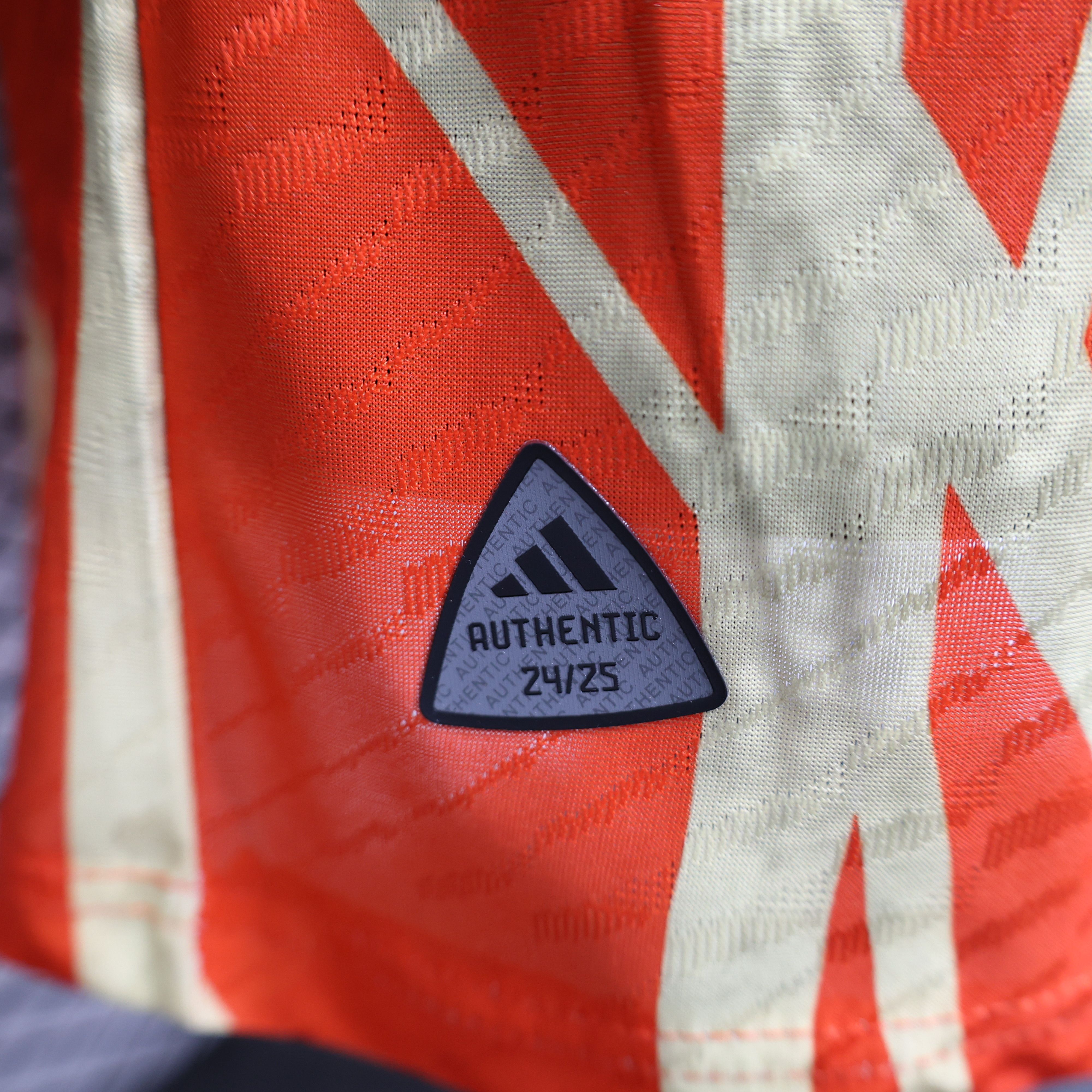 2024/2025 Bayern Special Edition Football Jersey For Player Version