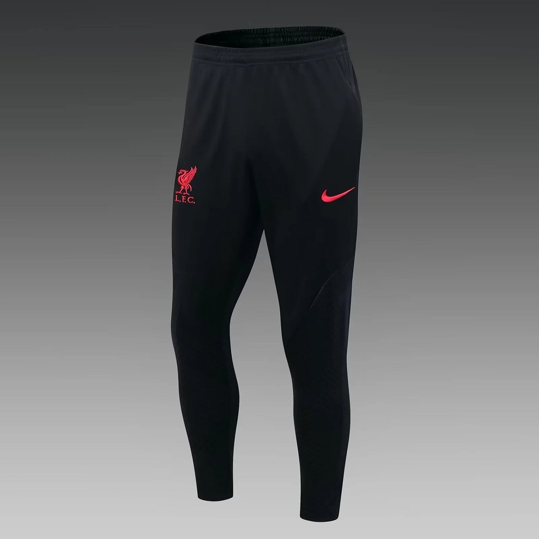 2022/2023 Liverpool Half-Pull Training Suit Purple Football Shir
