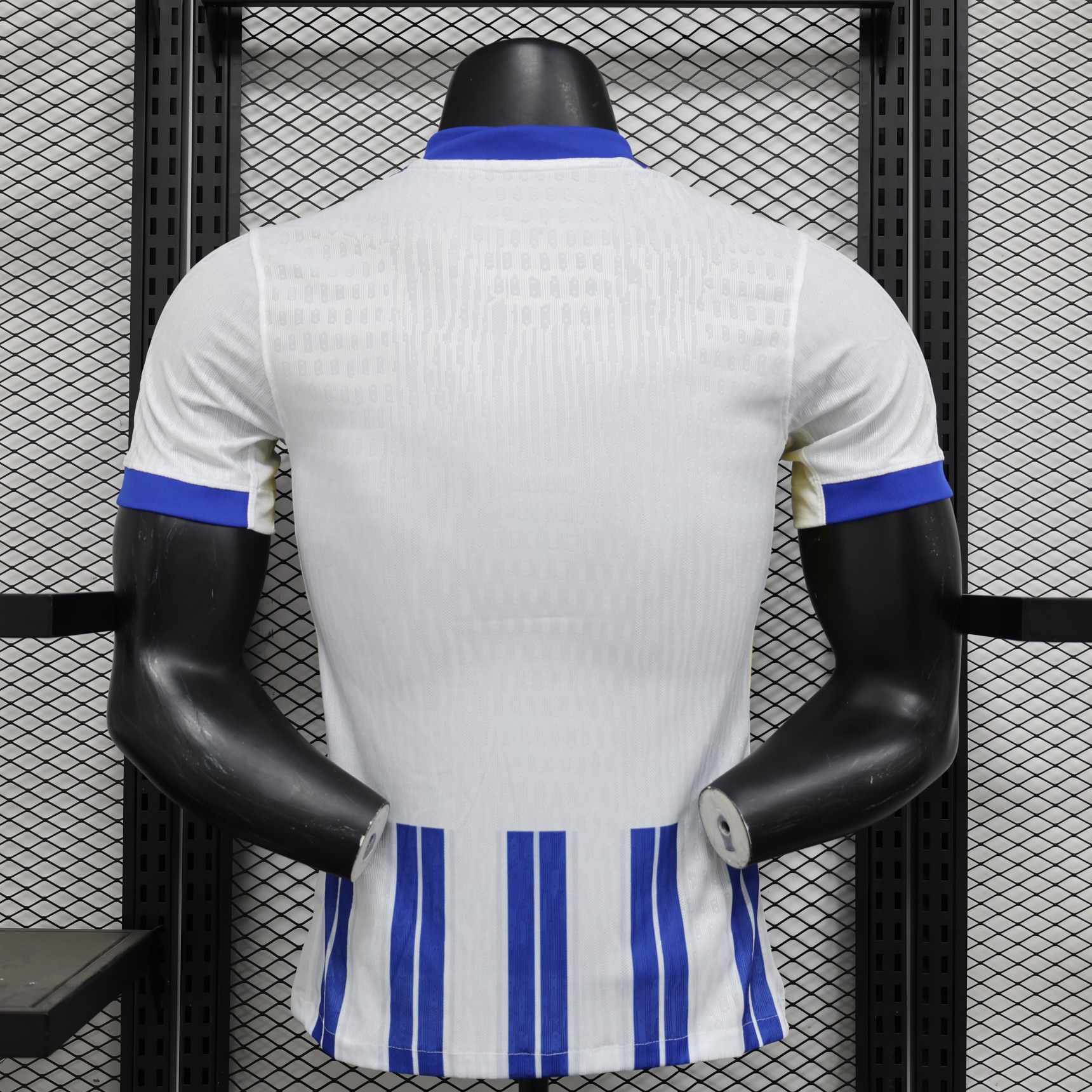 2024/2025 Brighton Home Football Shirt(Player Version )