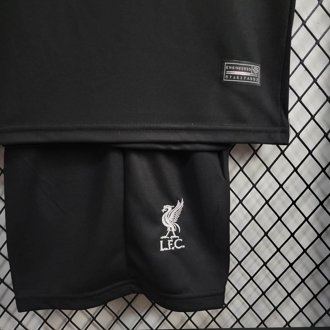 2024/2025 Liverpool Away Football Shirt(For Kids)