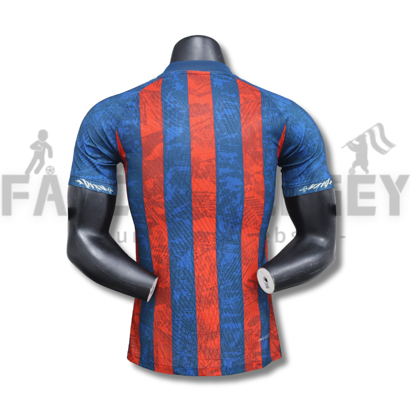 2024/2025 Barcelona Limited Edition Football Shirt( Player Edition )