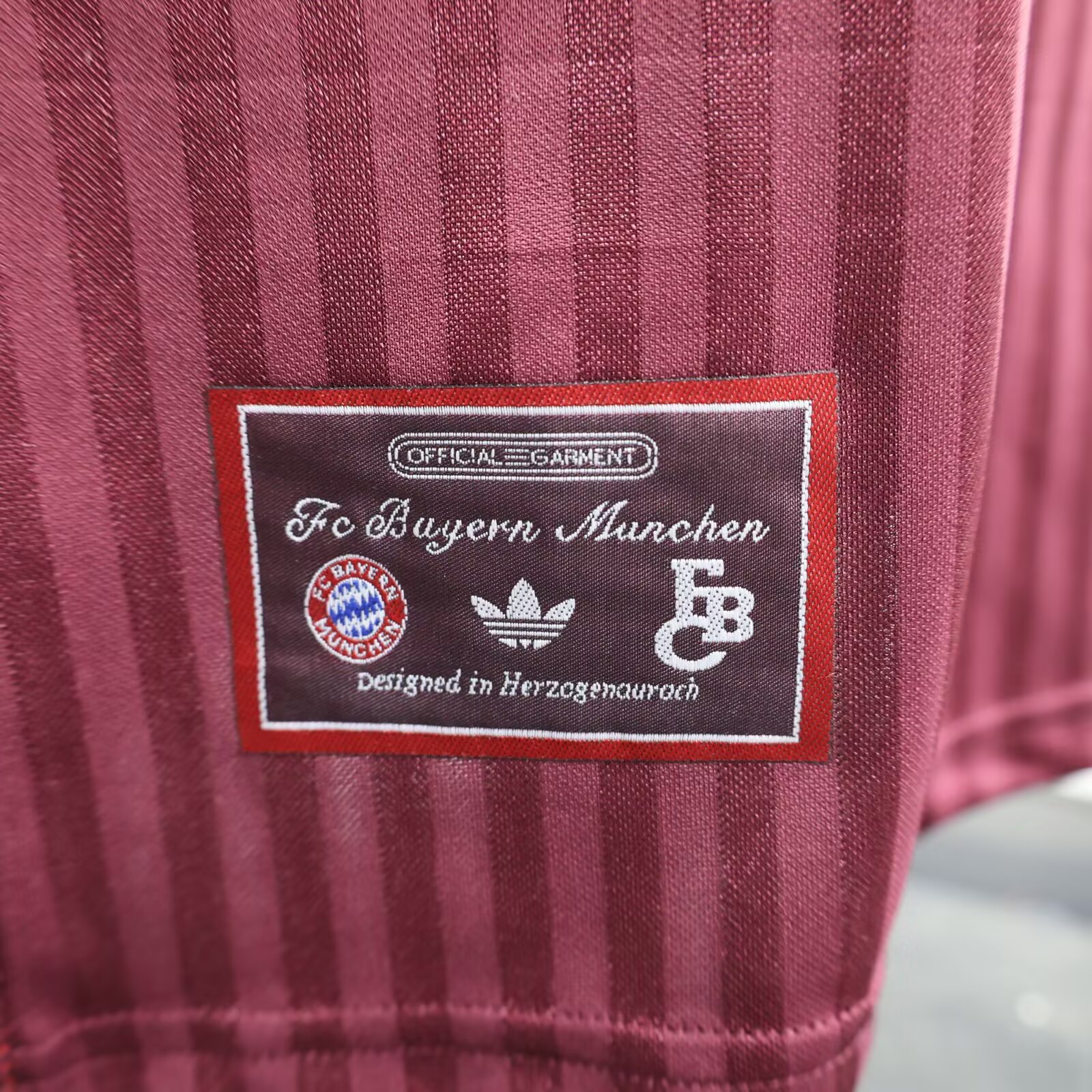 2024/2025 Bayern Munchen Special Edition Football Jersey For Player Version