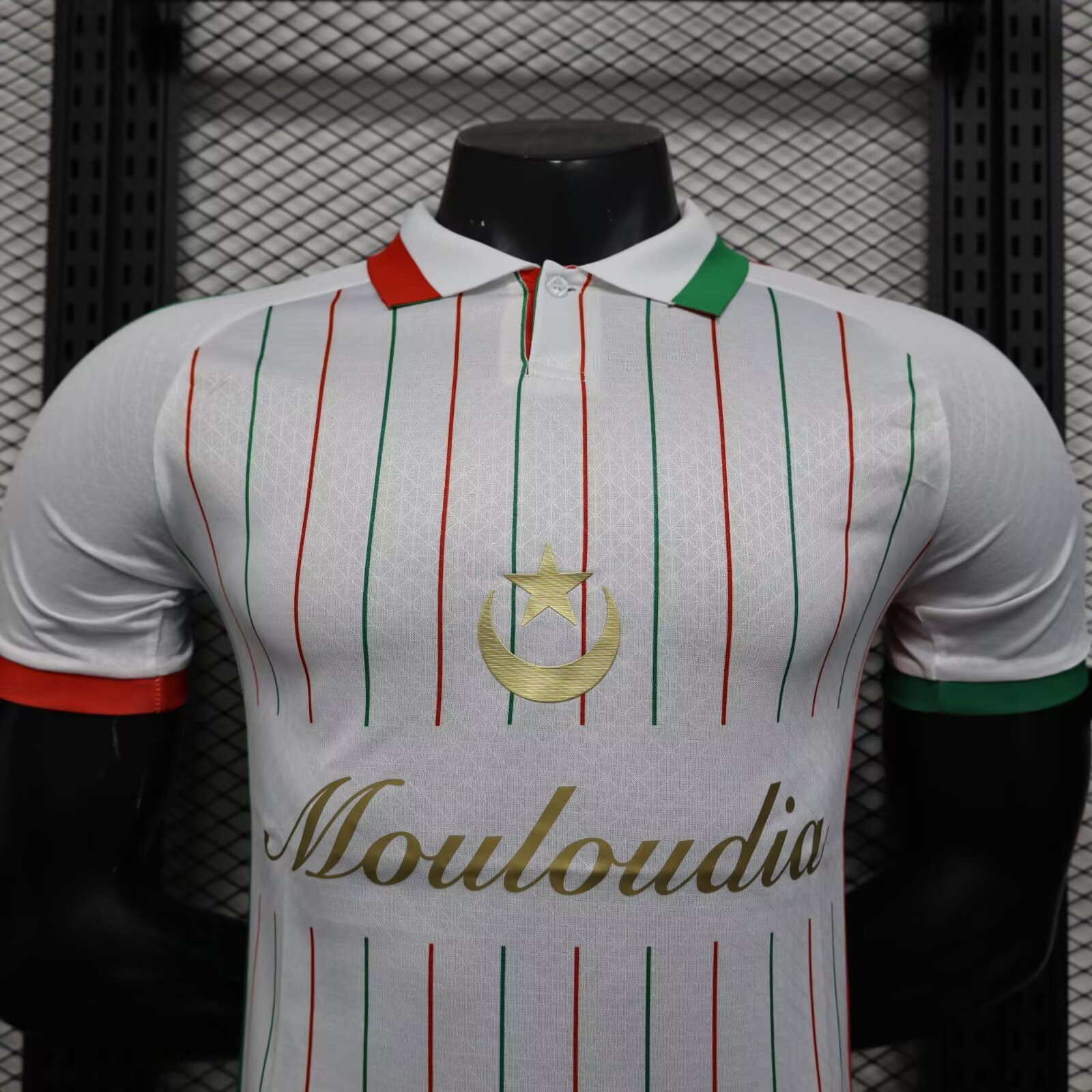 2025/2026 Palestine Football Shirt( Player Edition )