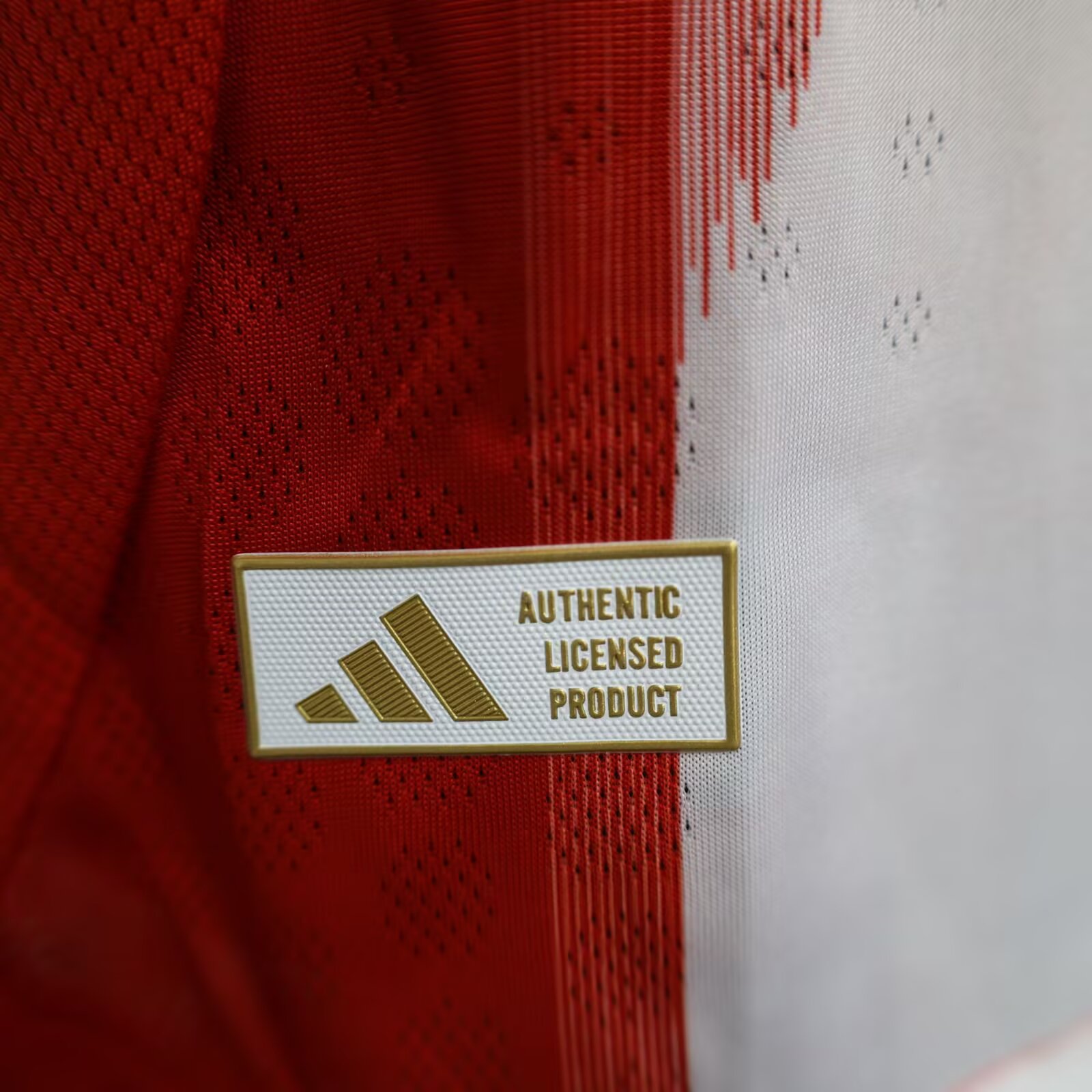 2025/2026 Bayern Munchen Home Jersey (Player Version)