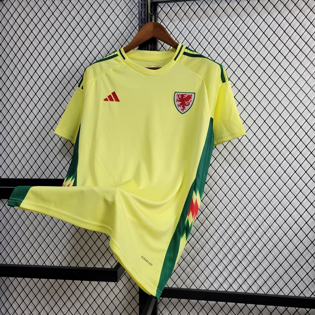 2024 Wales Away Football Shirt( Fans Edition )