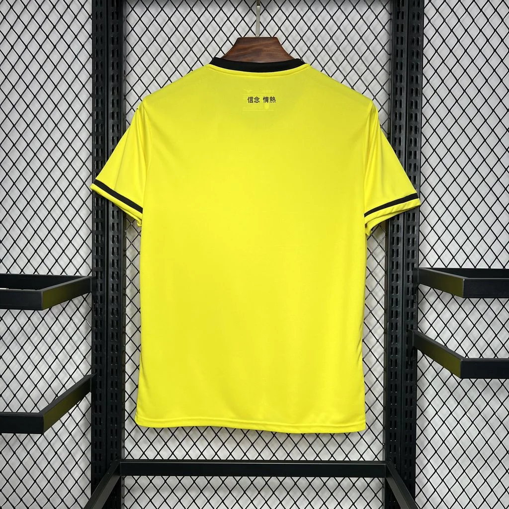 2024/2025 Lazio Away Football Shirt( Fans Edition )