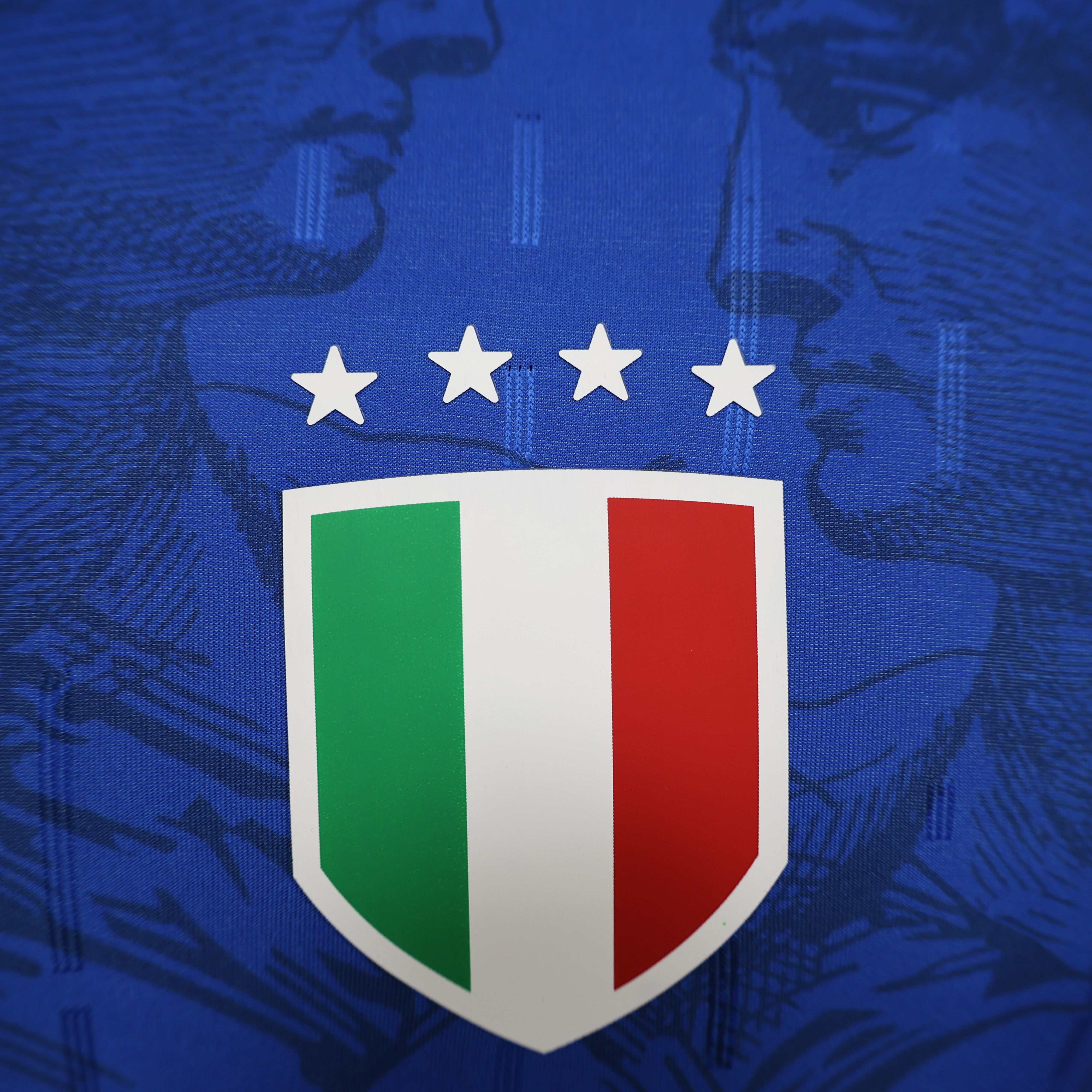 2024/2025 Italy Special Edition Football Jersey( Player Edition)