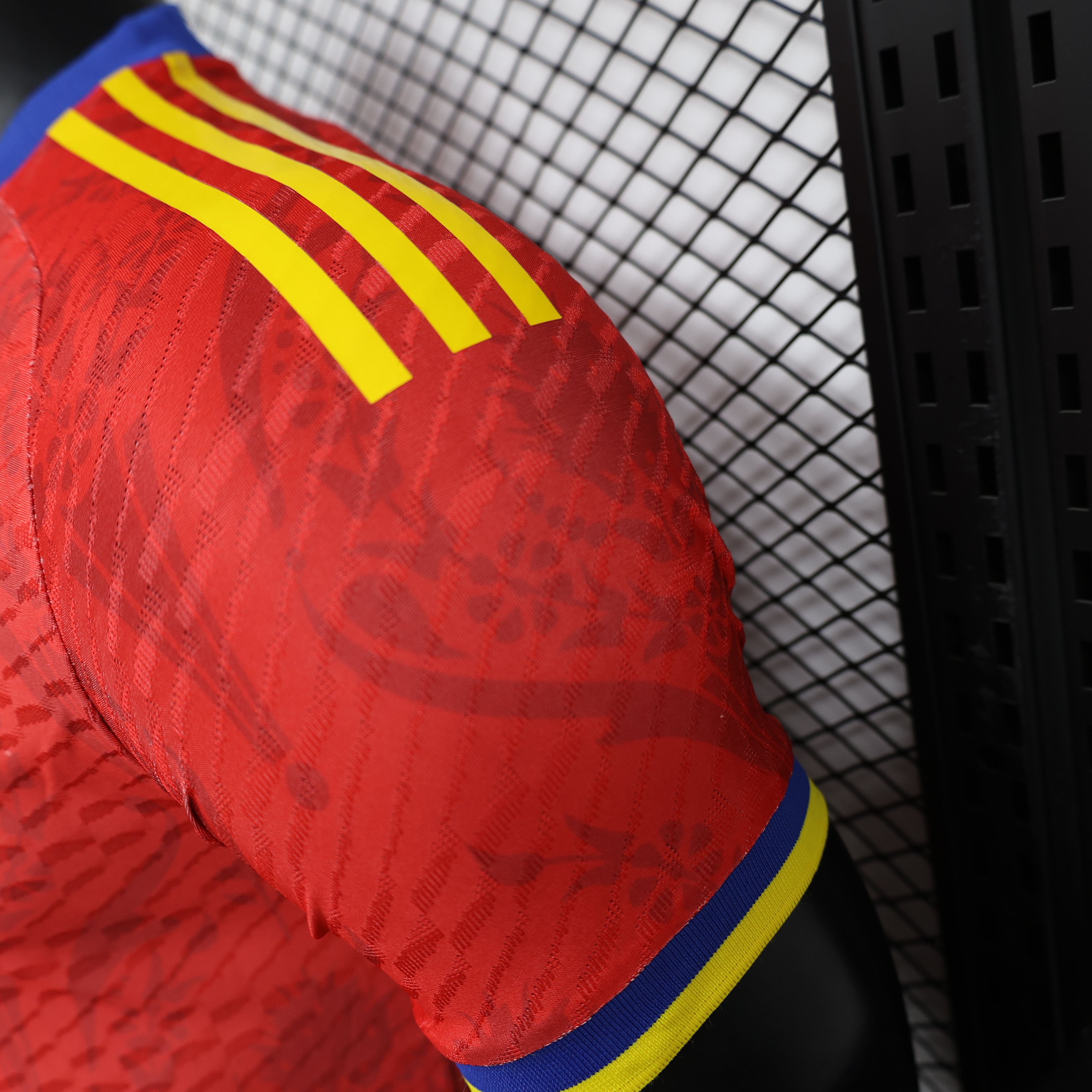 2024/2025 Spain Special Edition Football Jersey(Players Edition )