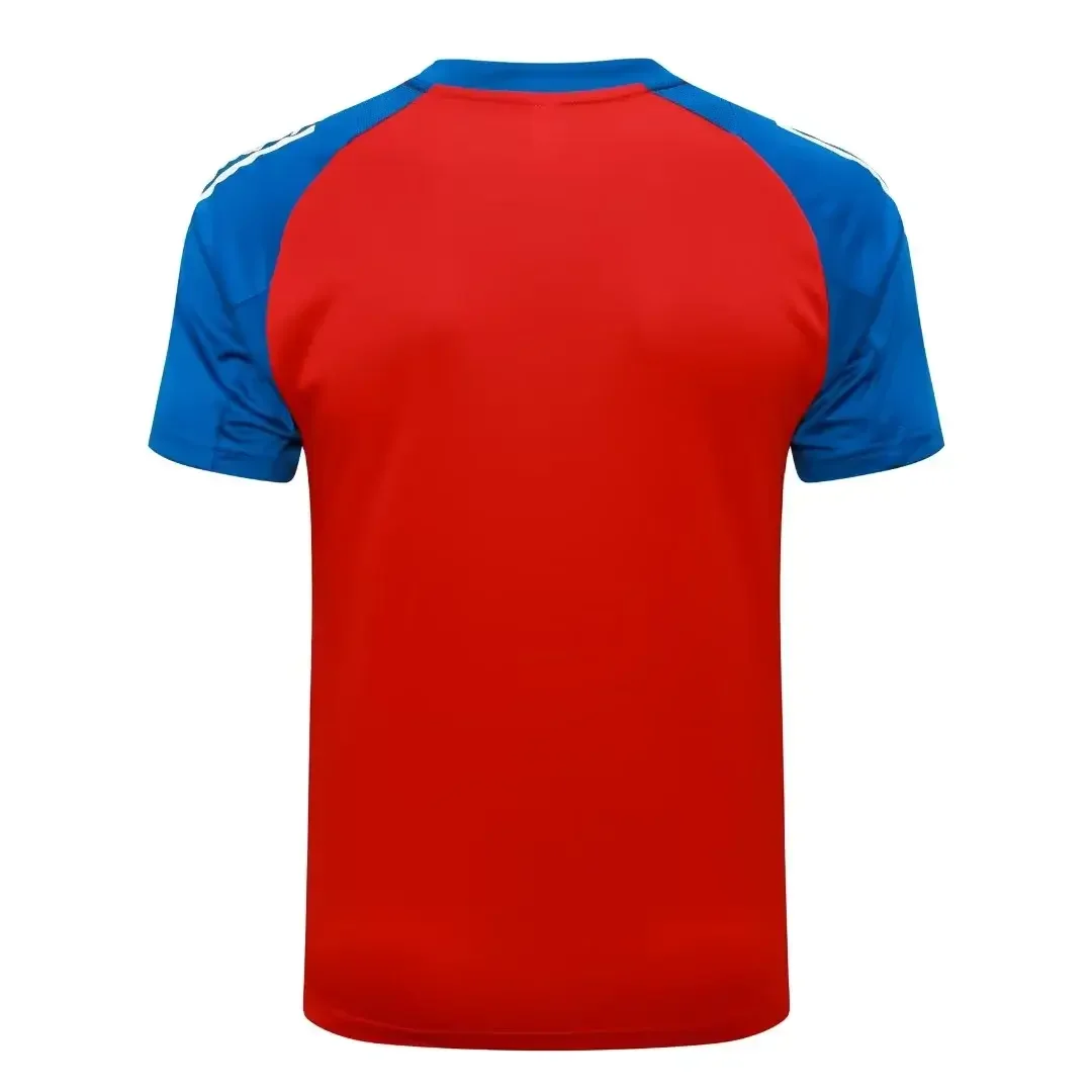 2024/2025 Spain Training Wear Red Suit Shirt
