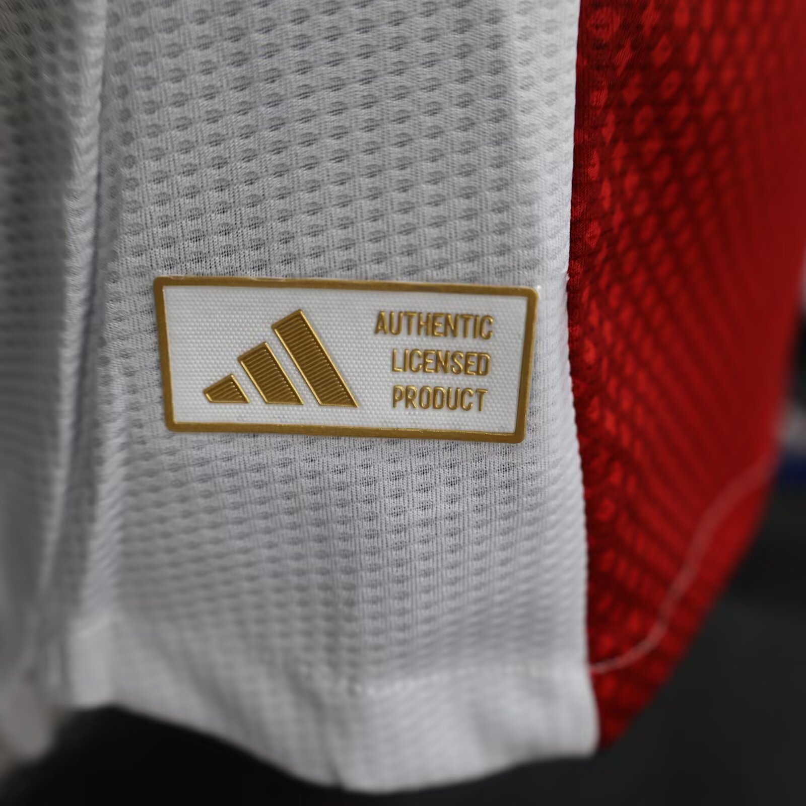 2025/2026 AFC Ajax Home Edition (Player Version)