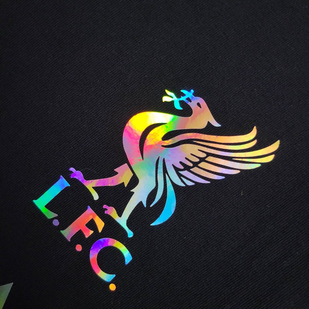 2024/2025 Liverpool Black Casual Football Shirt(Fans Version)