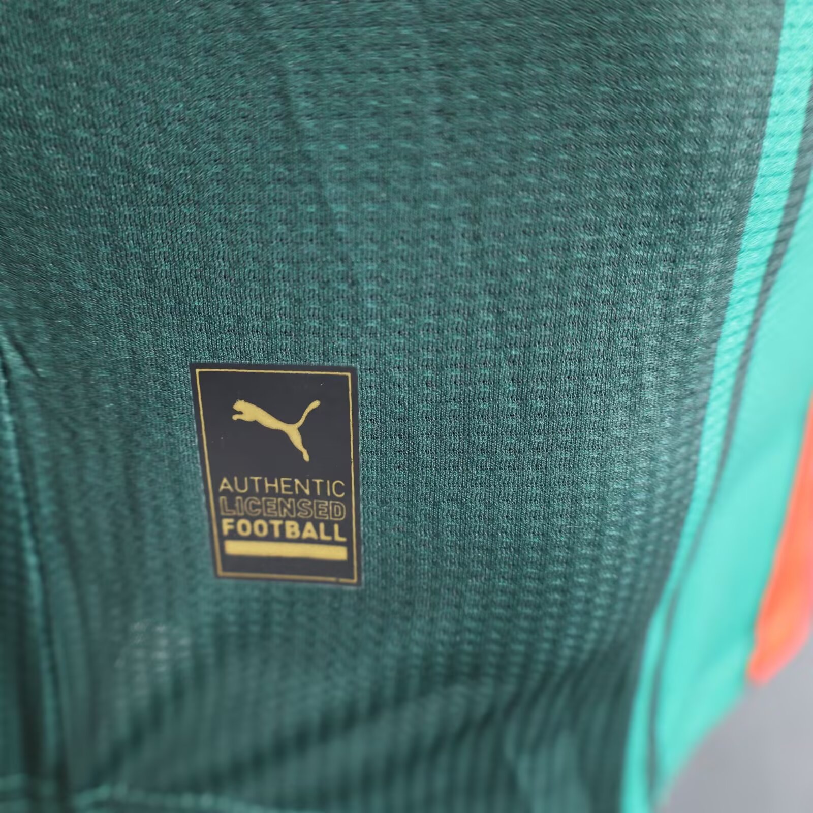 2025/2026 Algeria Green Football Jersey( Player Edition)
